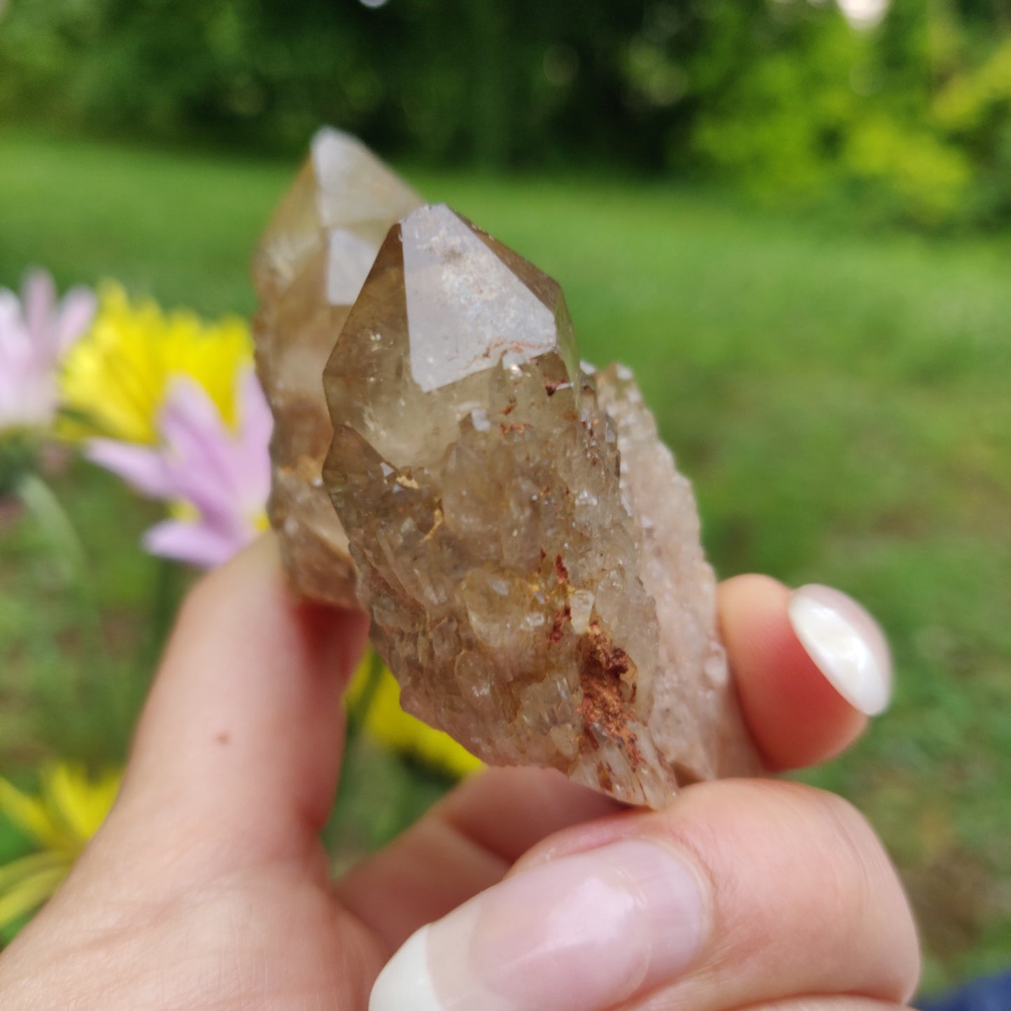 Congo Citrine Cluster (#1) - Simply Affinity