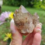 Congo Citrine Cluster (#1) - Simply Affinity