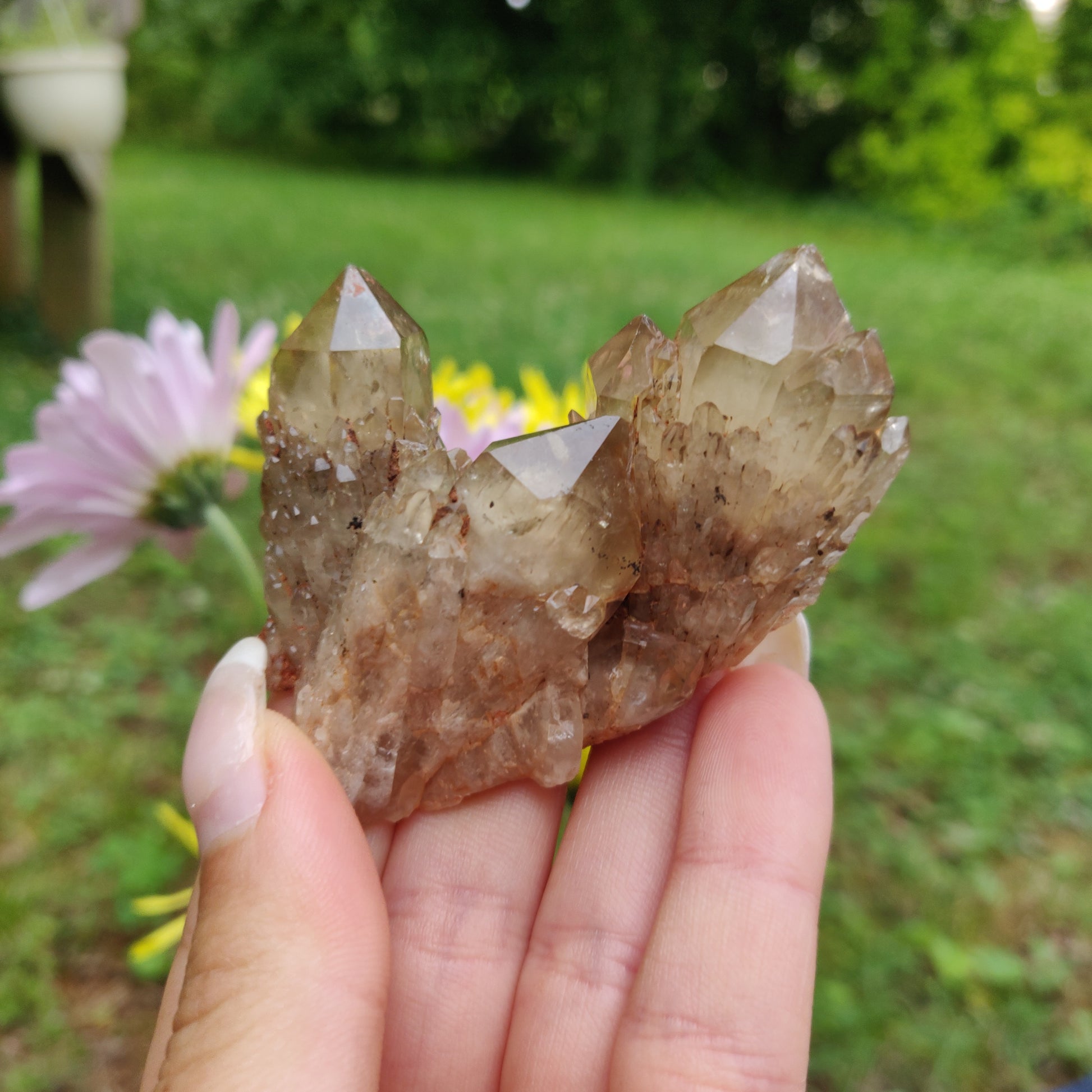 Congo Citrine Cluster (#1) - Simply Affinity