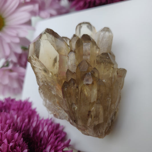 Congo Citrine Point (#2) - Simply Affinity