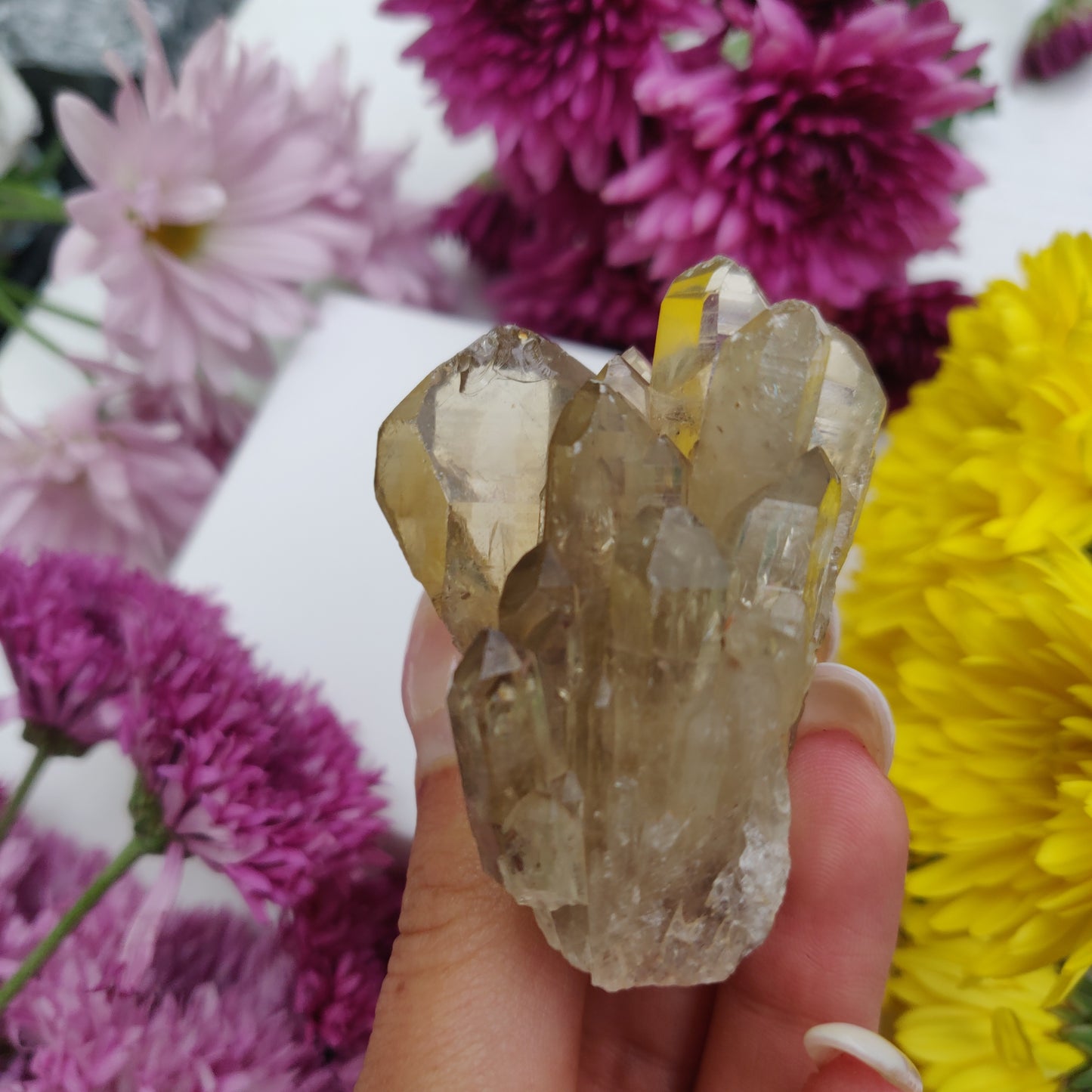 Congo Citrine Point (#2) - Simply Affinity