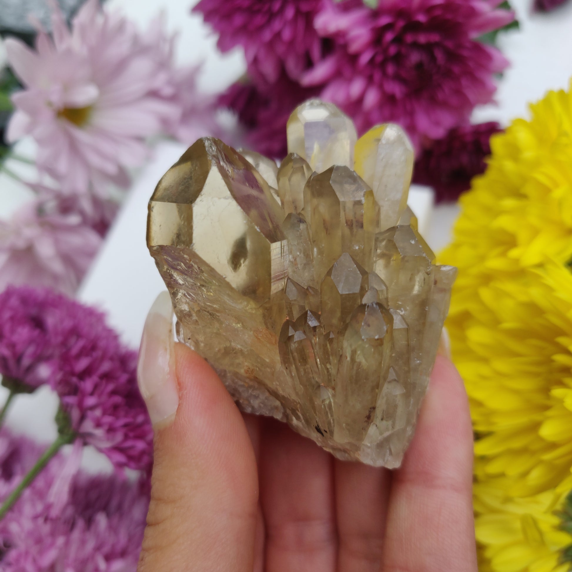 Congo Citrine Point (#2) - Simply Affinity