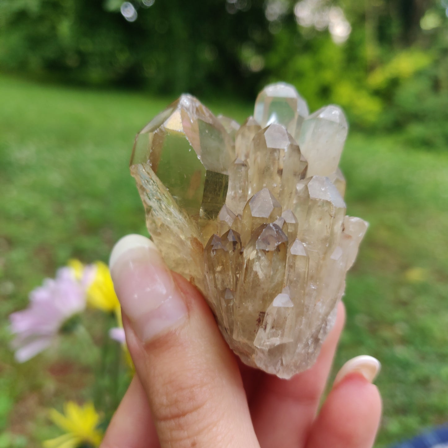 Congo Citrine Point (#2) - Simply Affinity