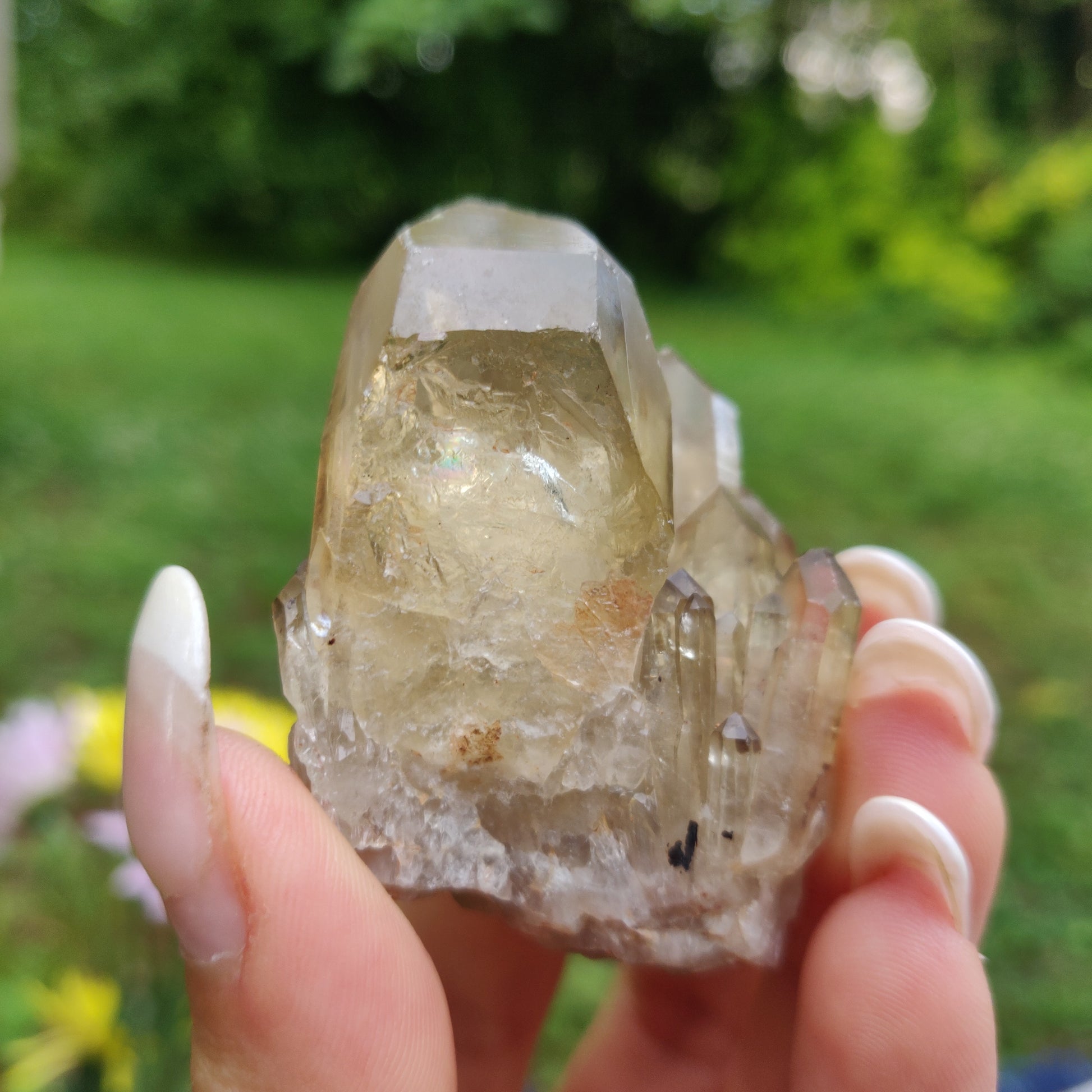 Congo Citrine Point (#2) - Simply Affinity