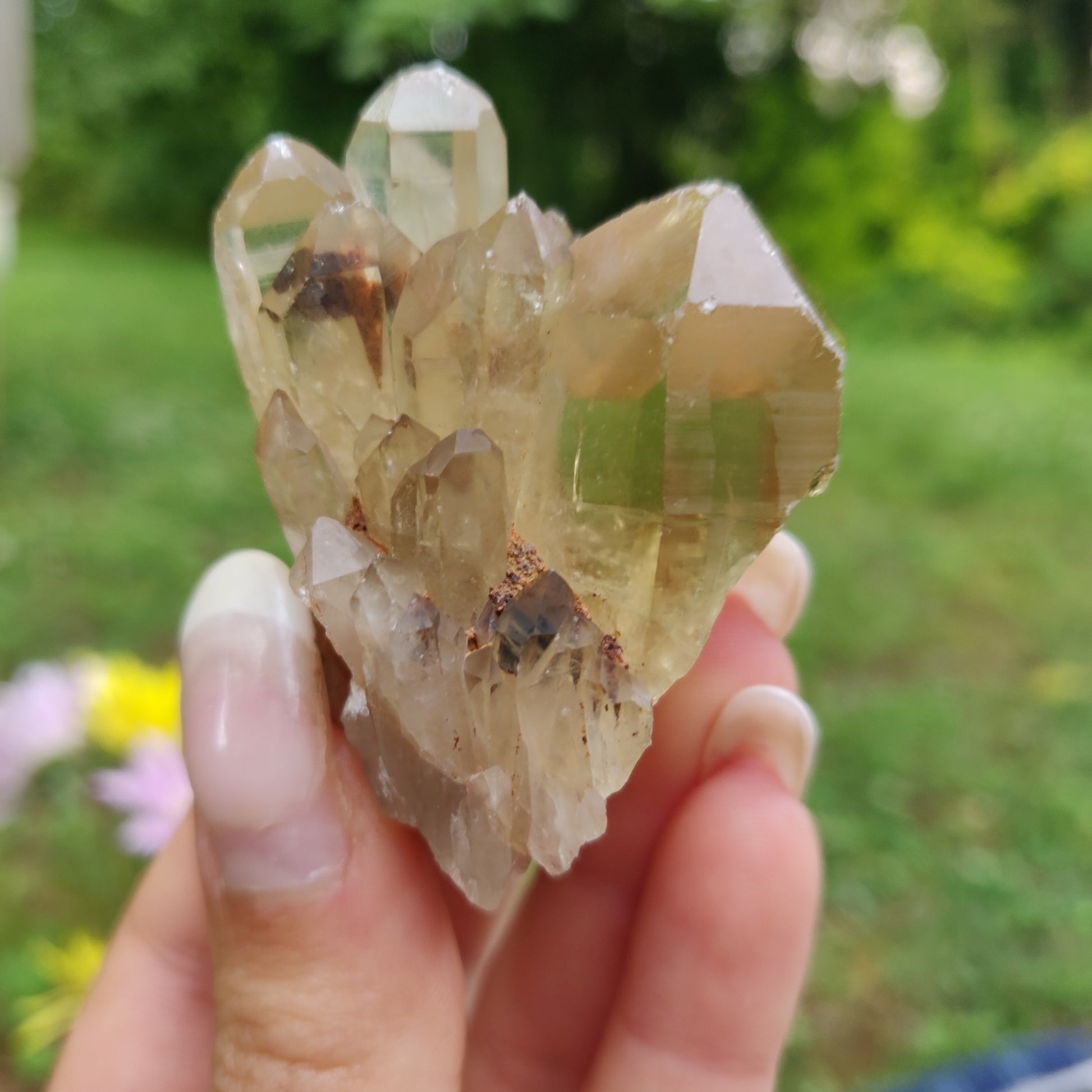 Congo Citrine Point (#2) - Simply Affinity