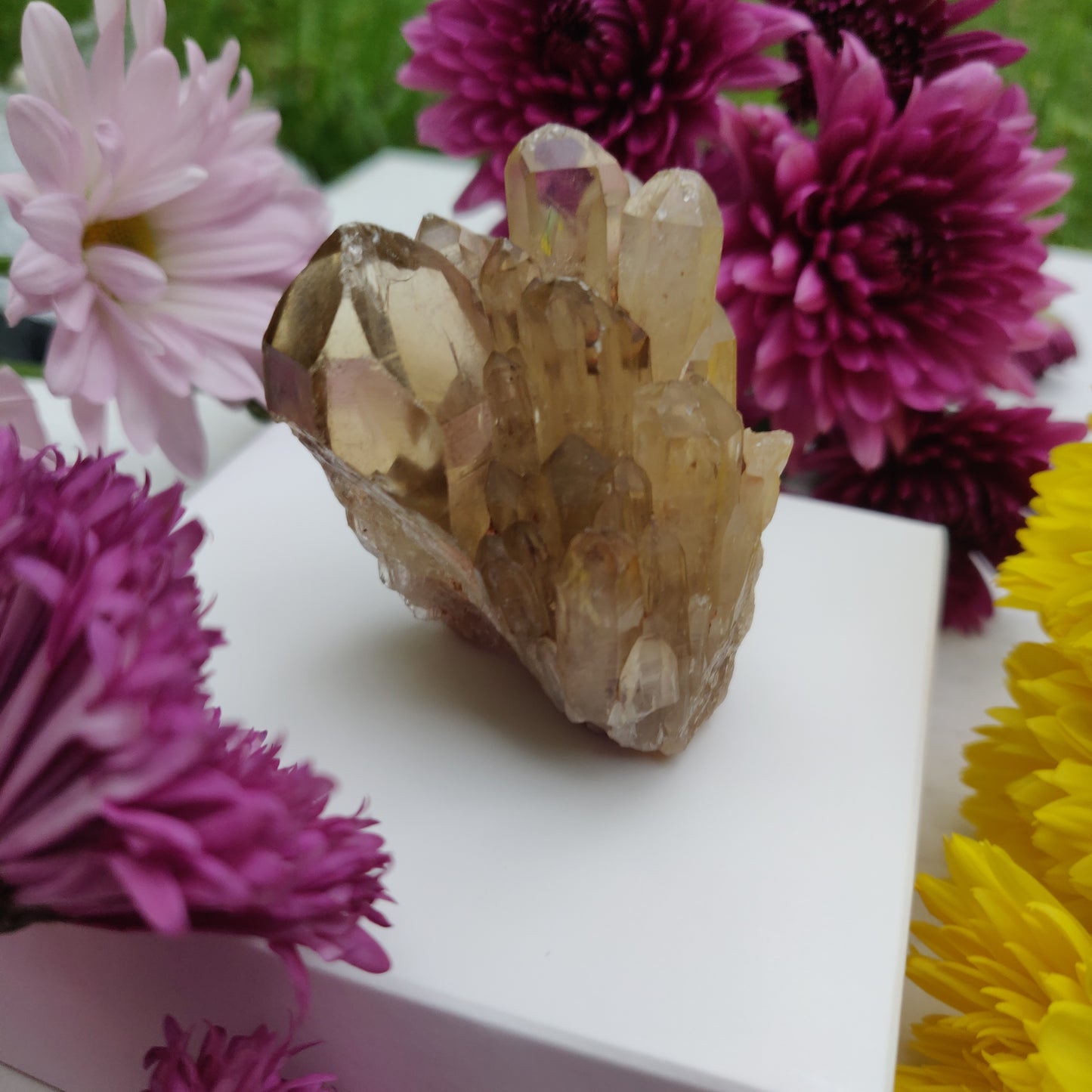 Congo Citrine Point (#2) - Simply Affinity