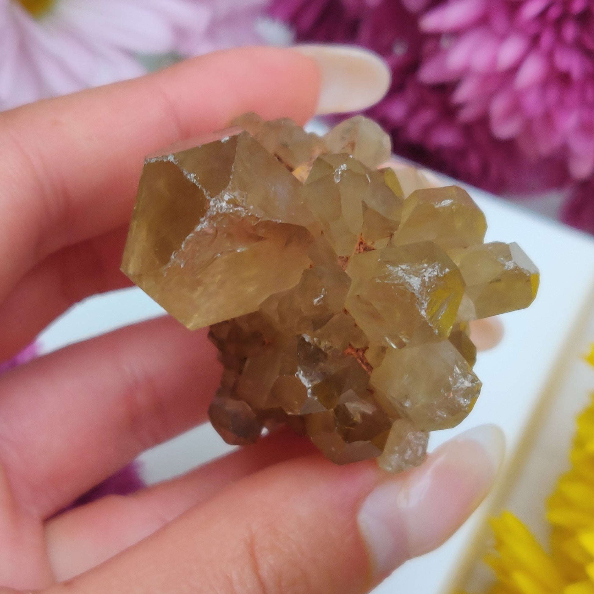 Congo Citrine Point (#2) - Simply Affinity