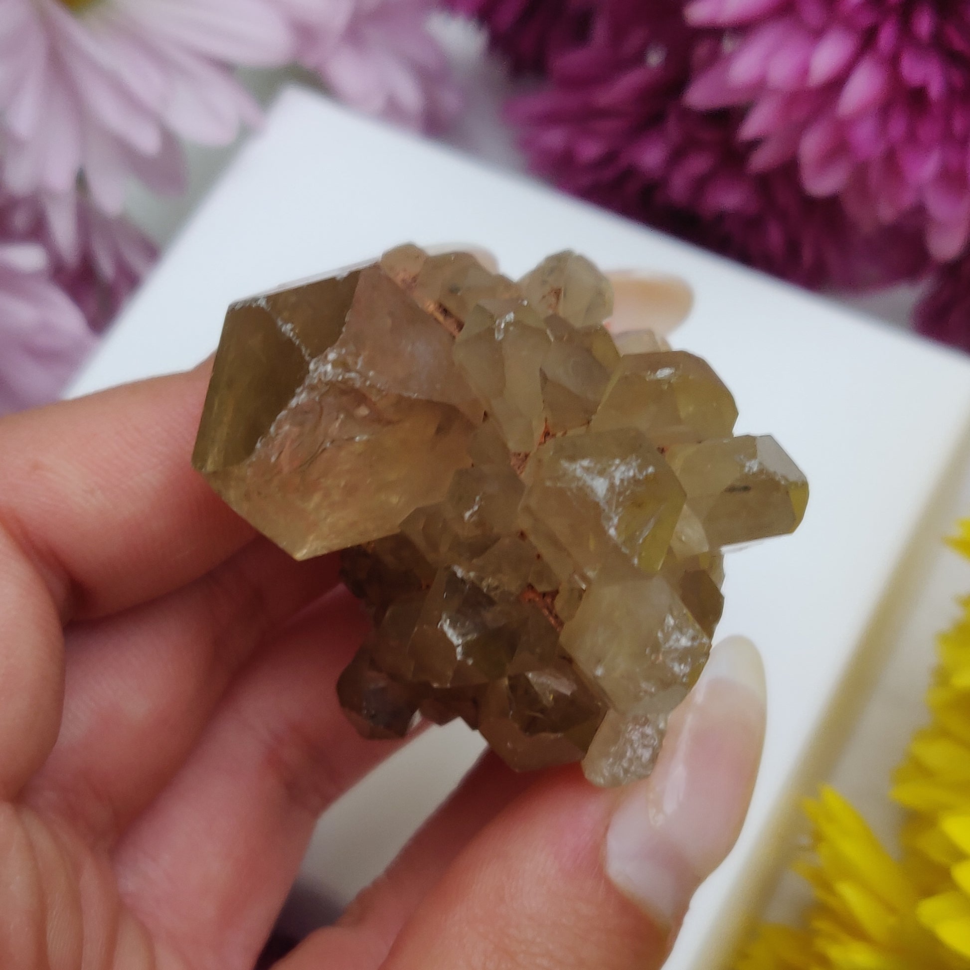 Congo Citrine Point (#2) - Simply Affinity