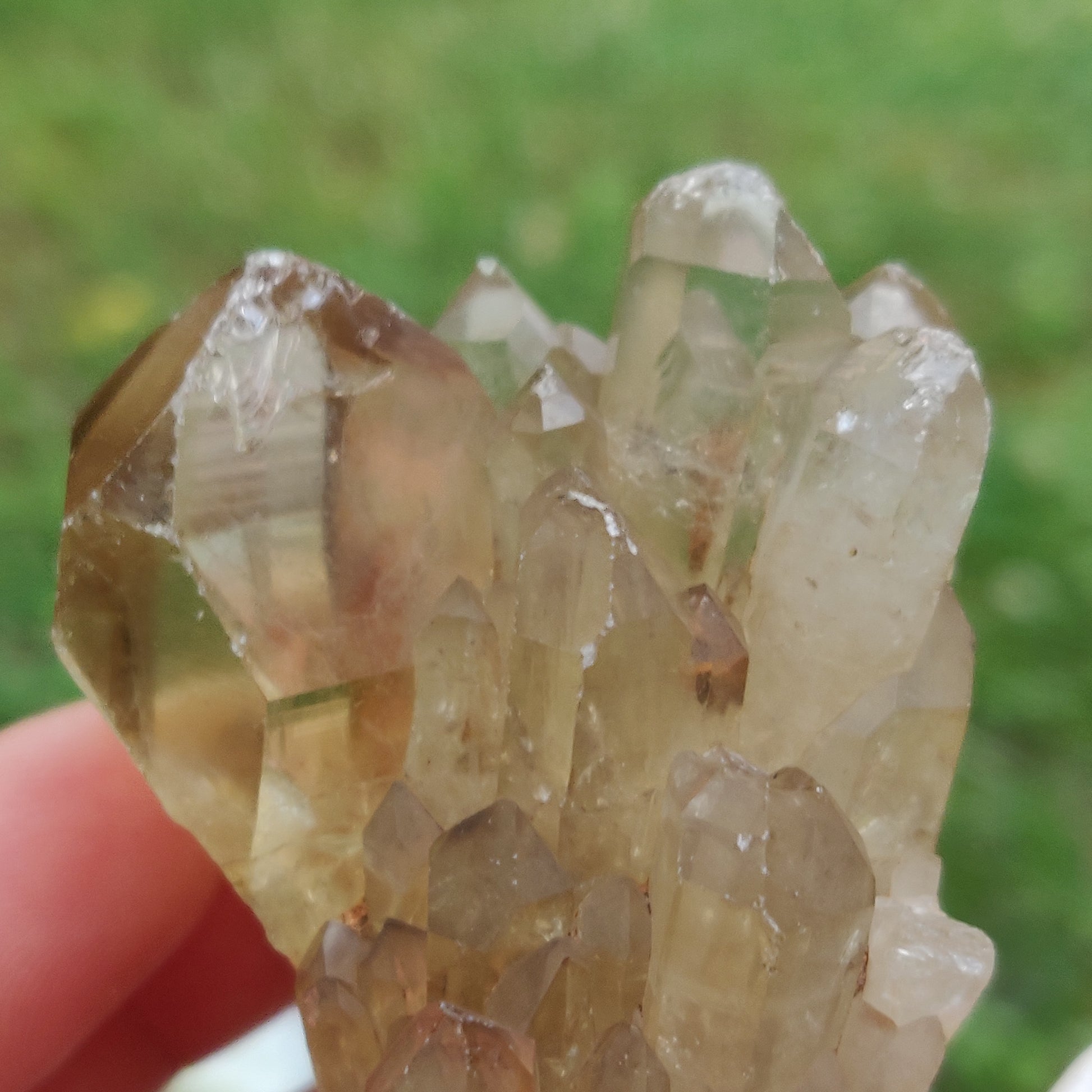 Congo Citrine Point (#2) - Simply Affinity