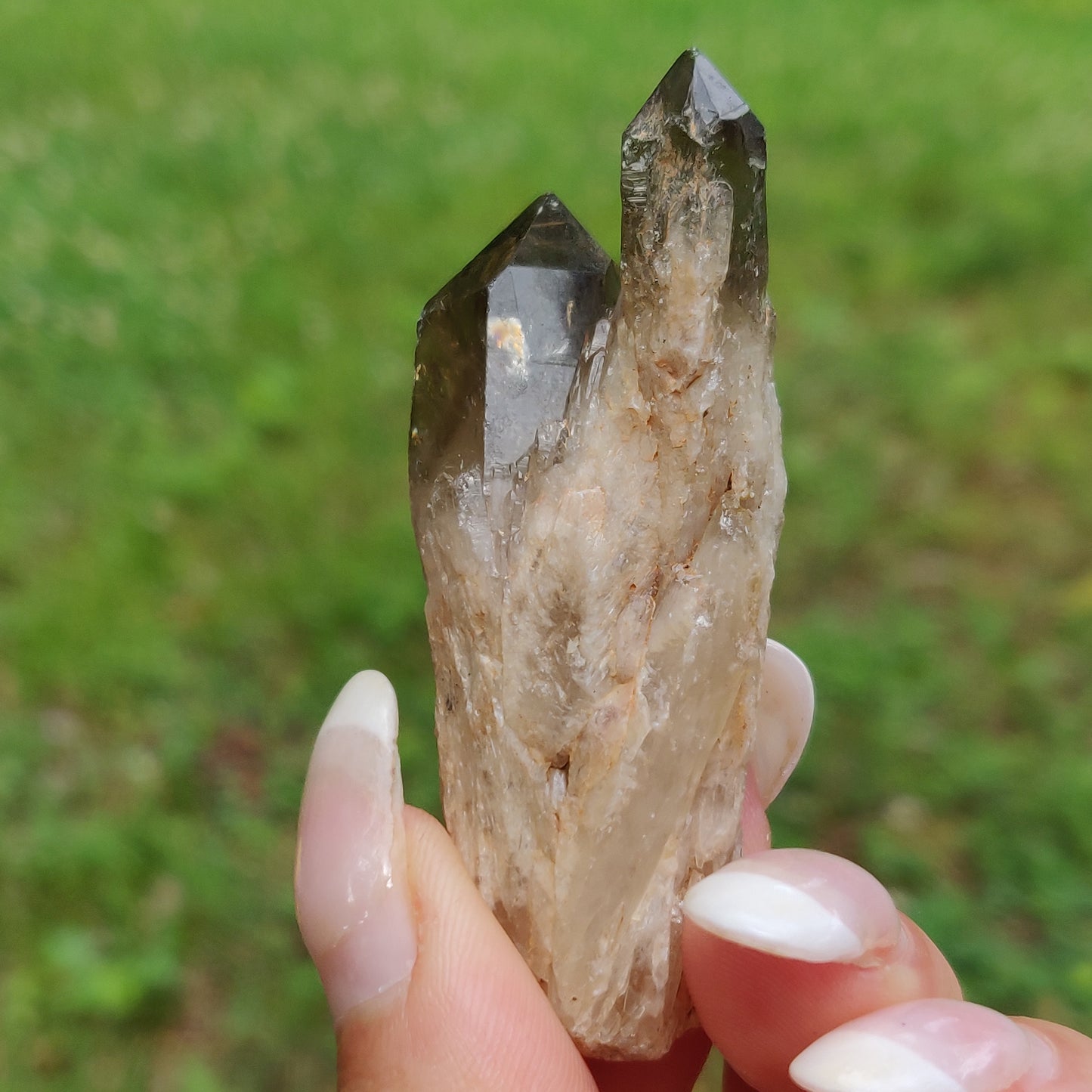 Congo Citrine Point (#4) - Simply Affinity