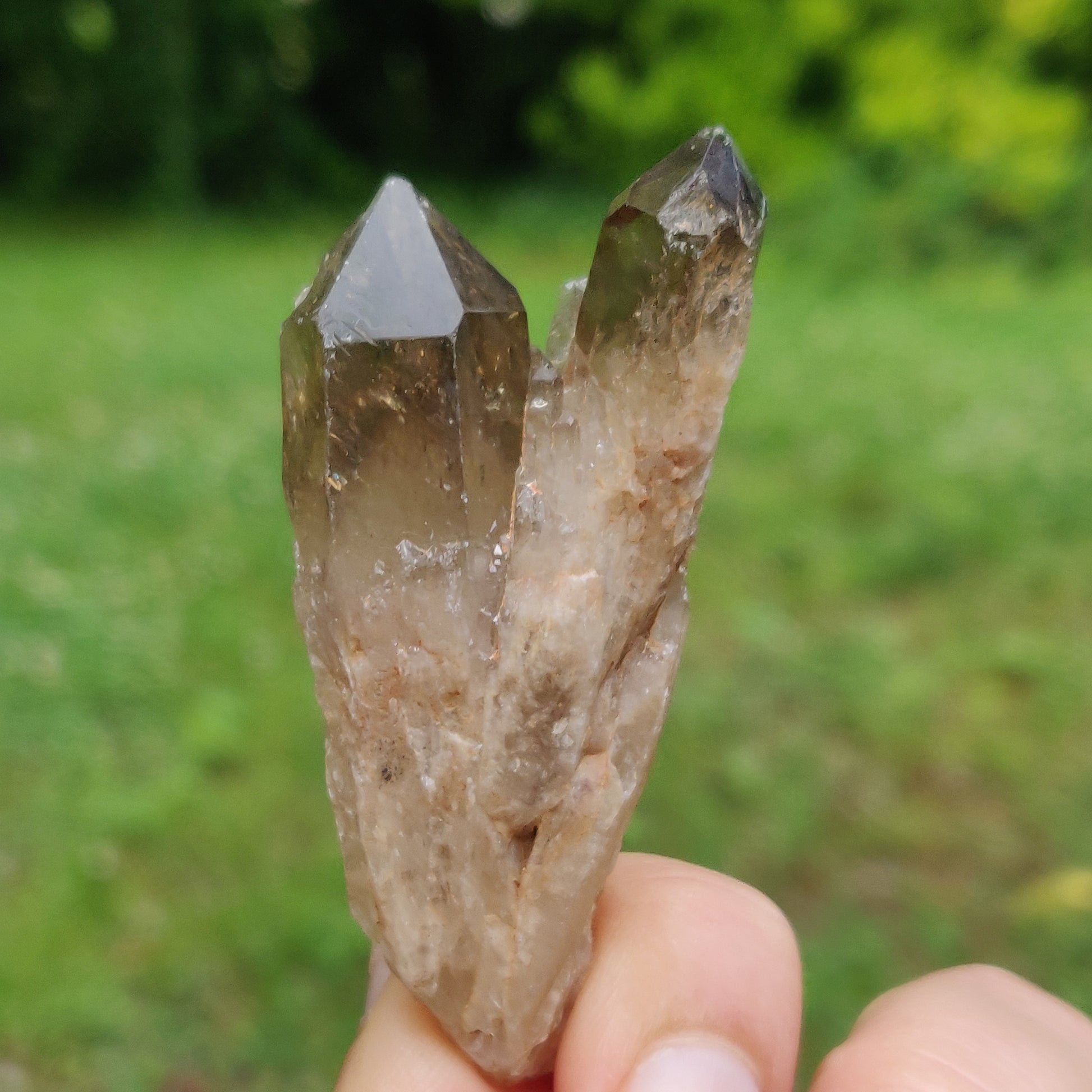 Congo Citrine Point (#4) - Simply Affinity