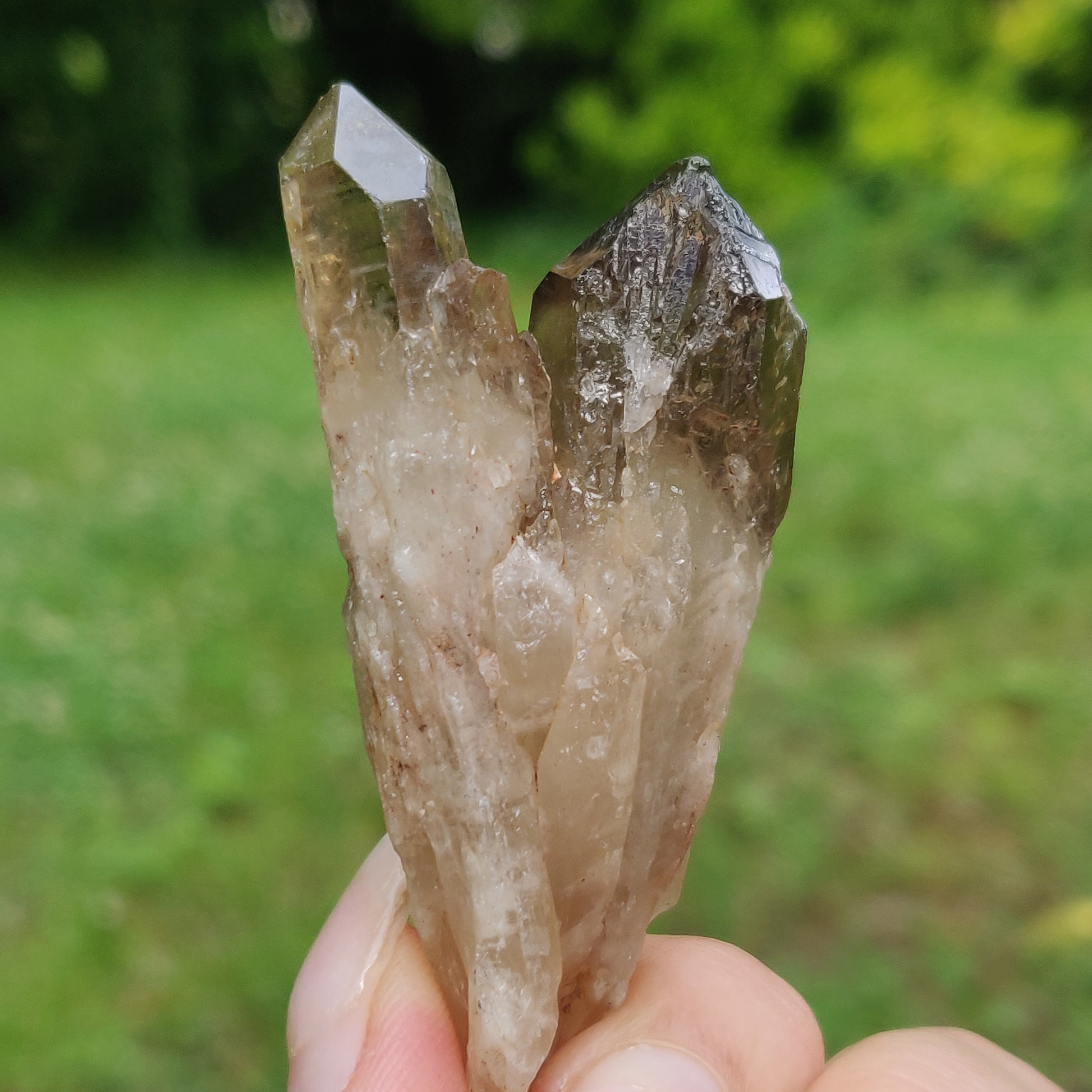 Congo Citrine Point (#4) - Simply Affinity