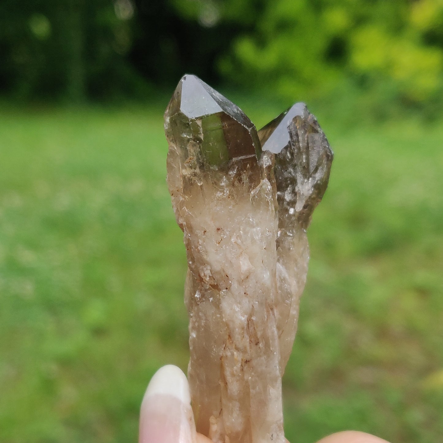 Congo Citrine Point (#4) - Simply Affinity