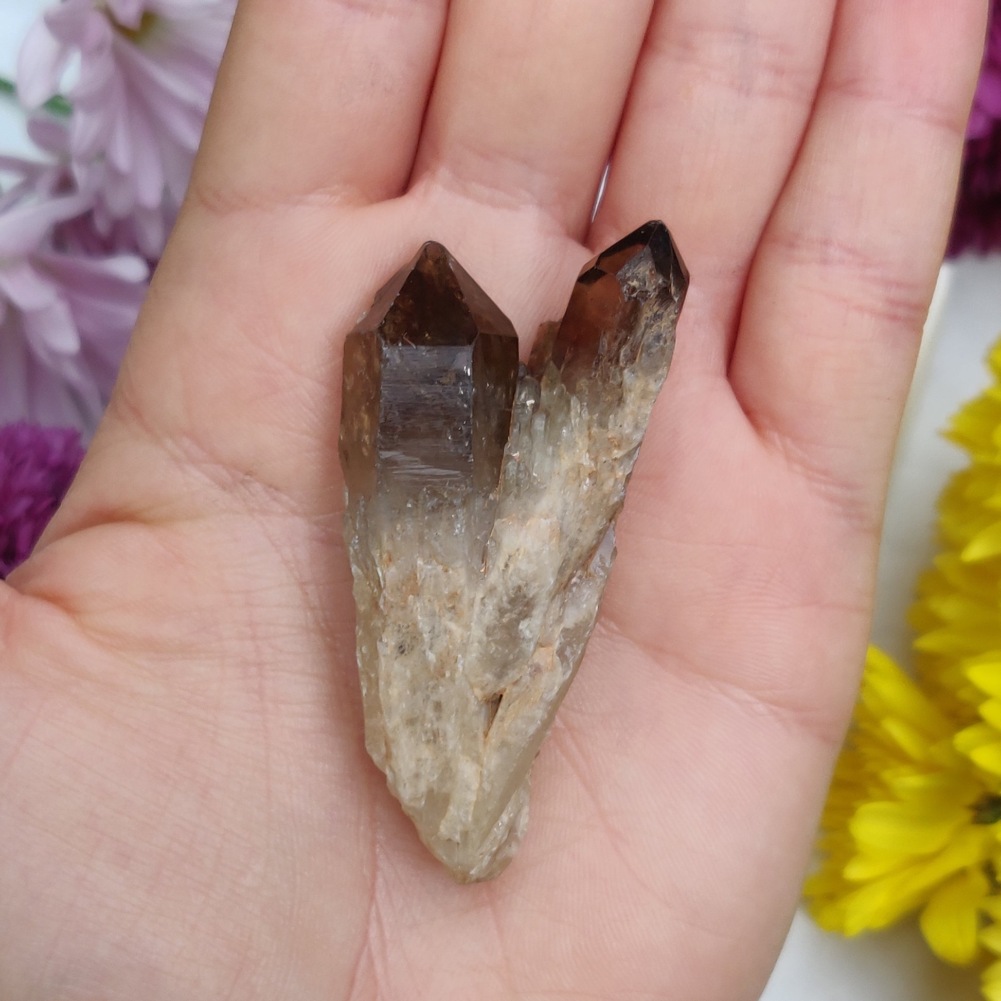 Congo Citrine Point (#4) - Simply Affinity