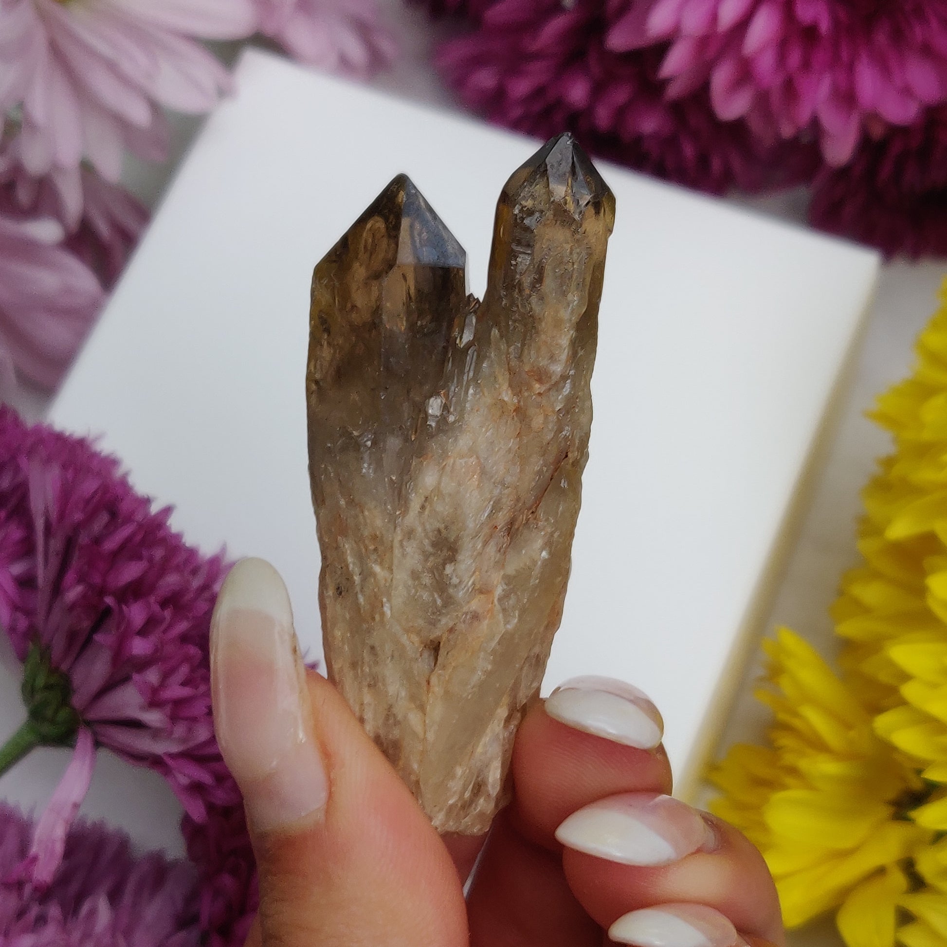 Congo Citrine Point (#4) - Simply Affinity