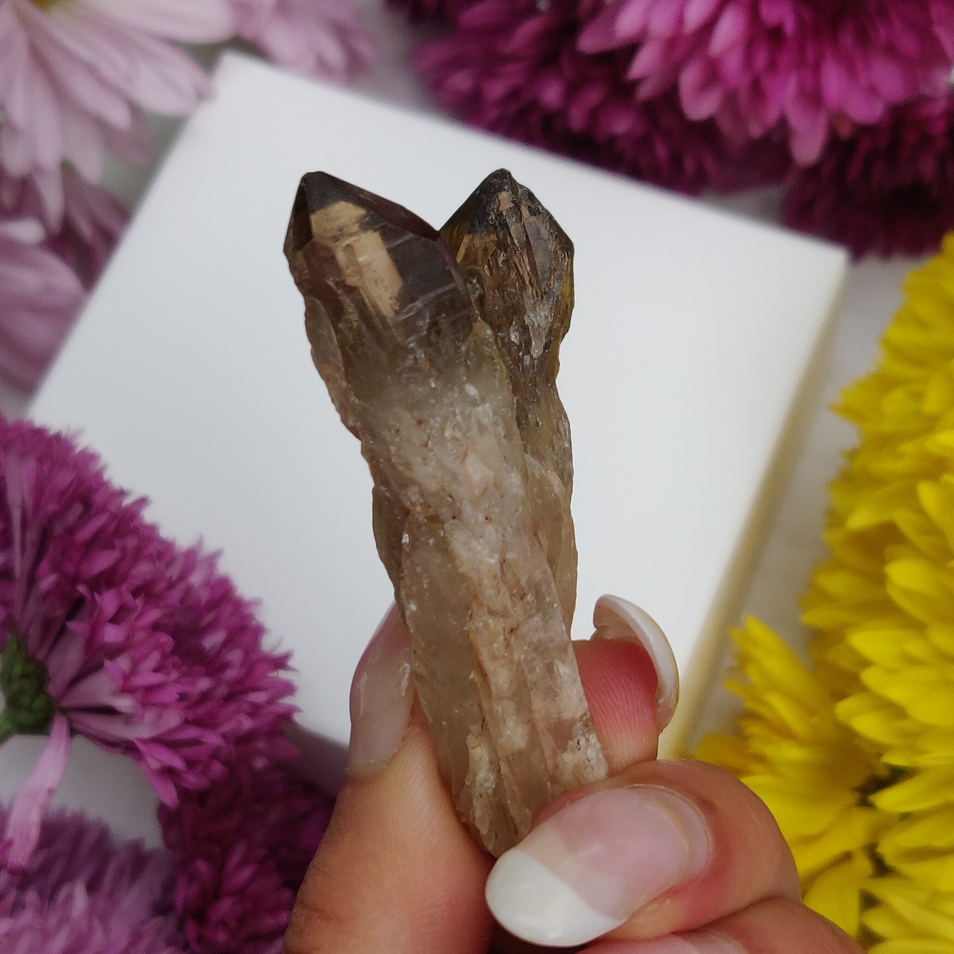 Congo Citrine Point (#4) - Simply Affinity
