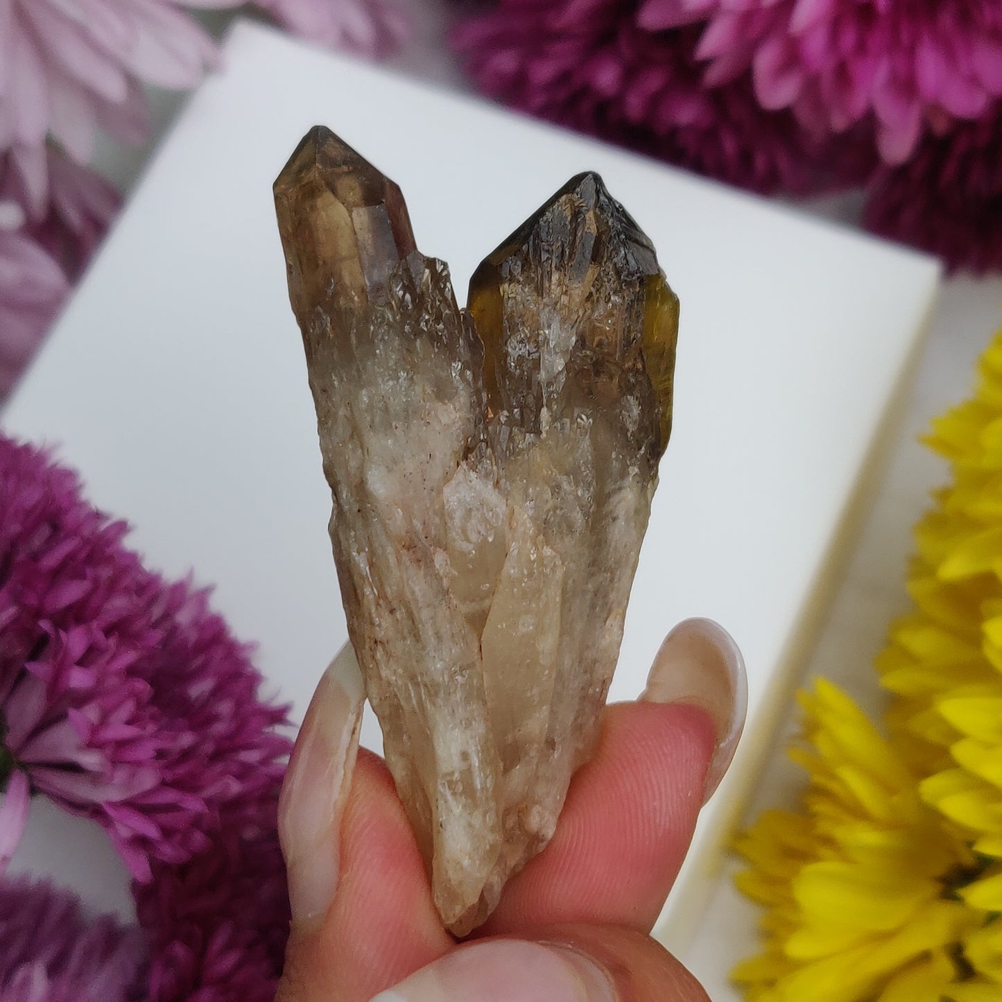 Congo Citrine Point (#4) - Simply Affinity