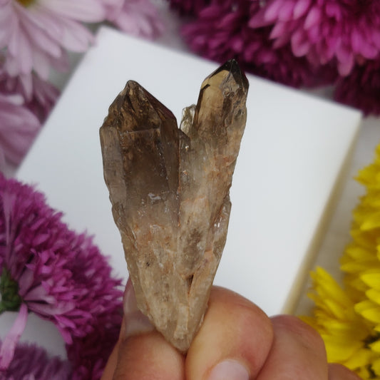 Congo Citrine Point (#4) - Simply Affinity