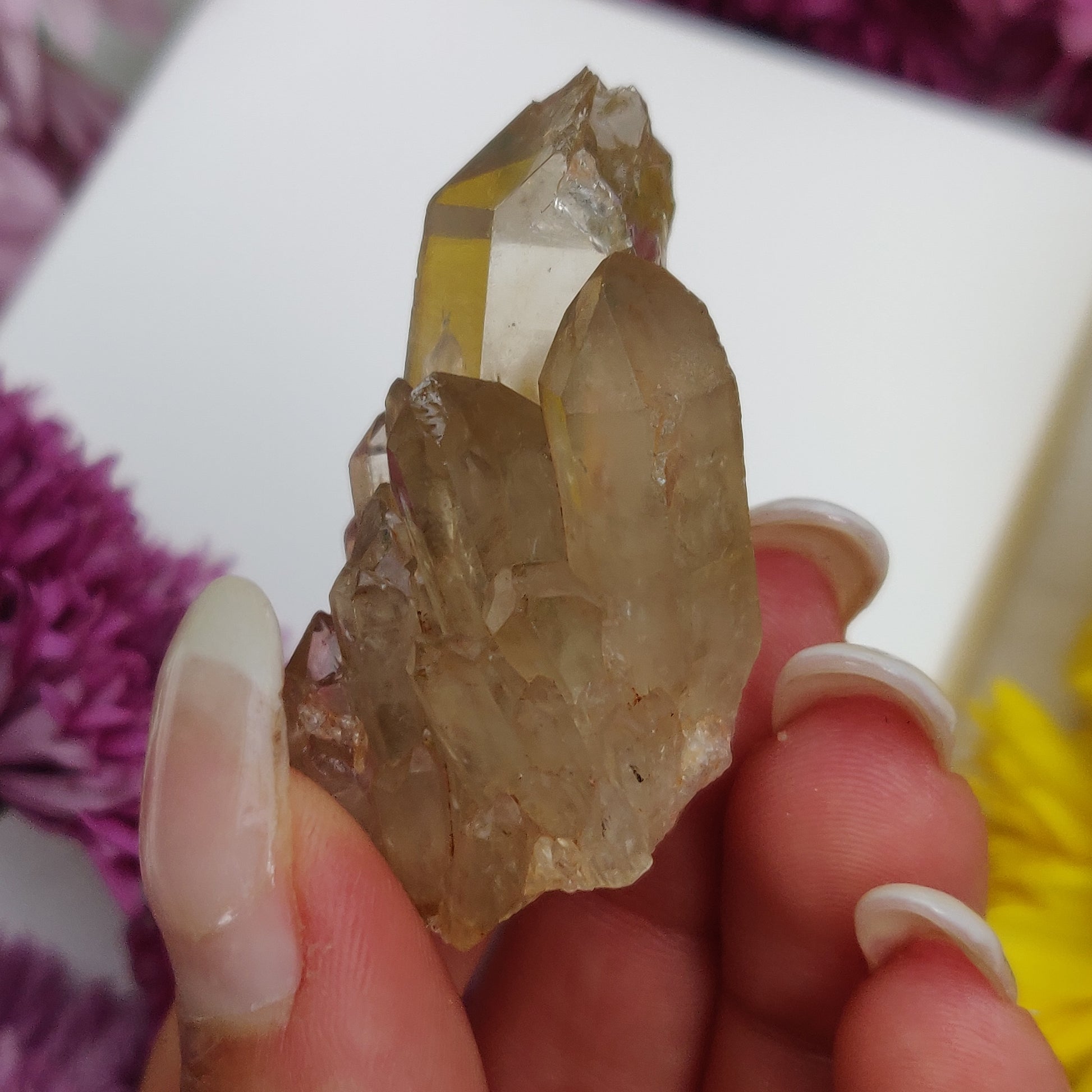 Reserved for Cindy, Congo Citrine Point (#5) - Simply Affinity