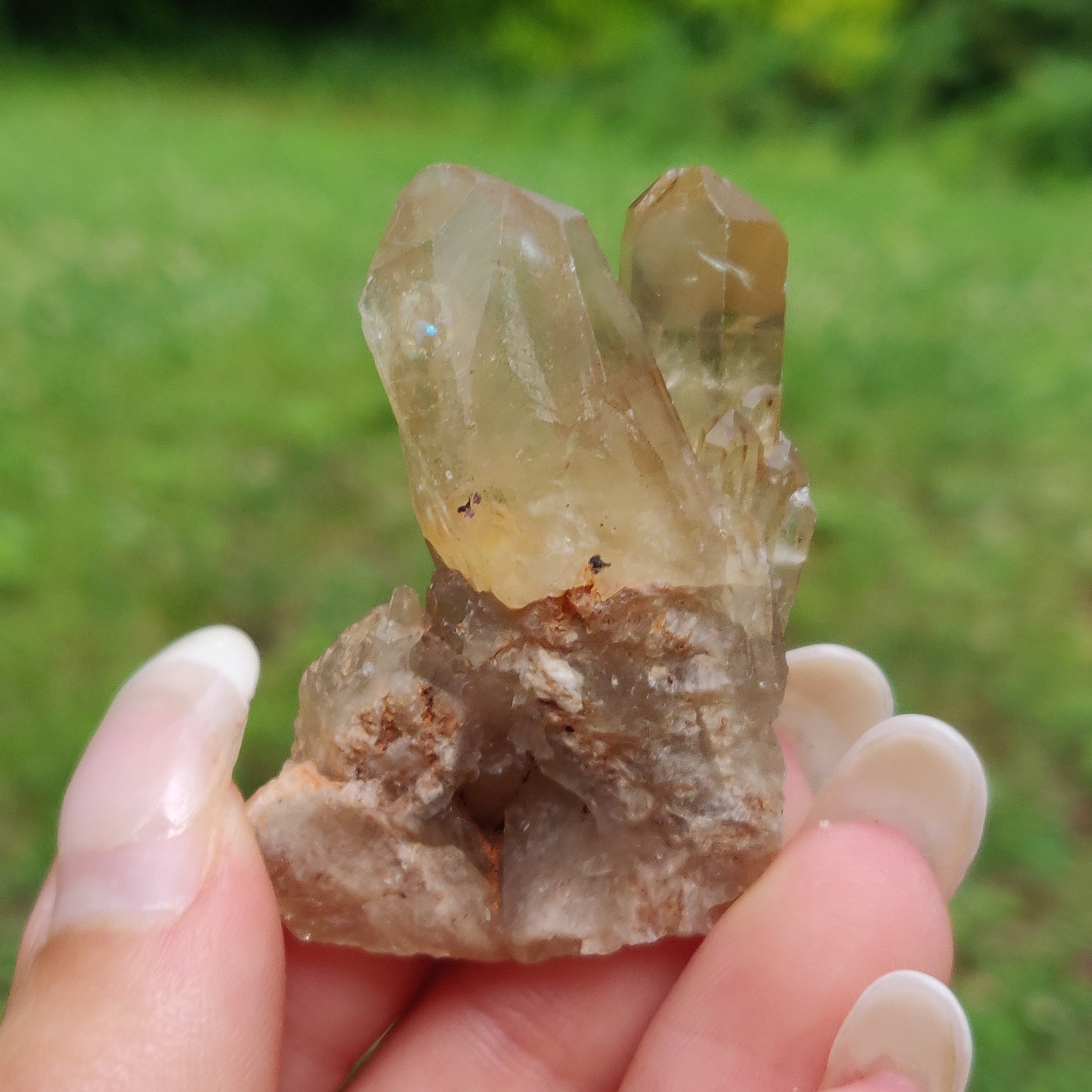 Congo Citrine Point (#6) - Simply Affinity