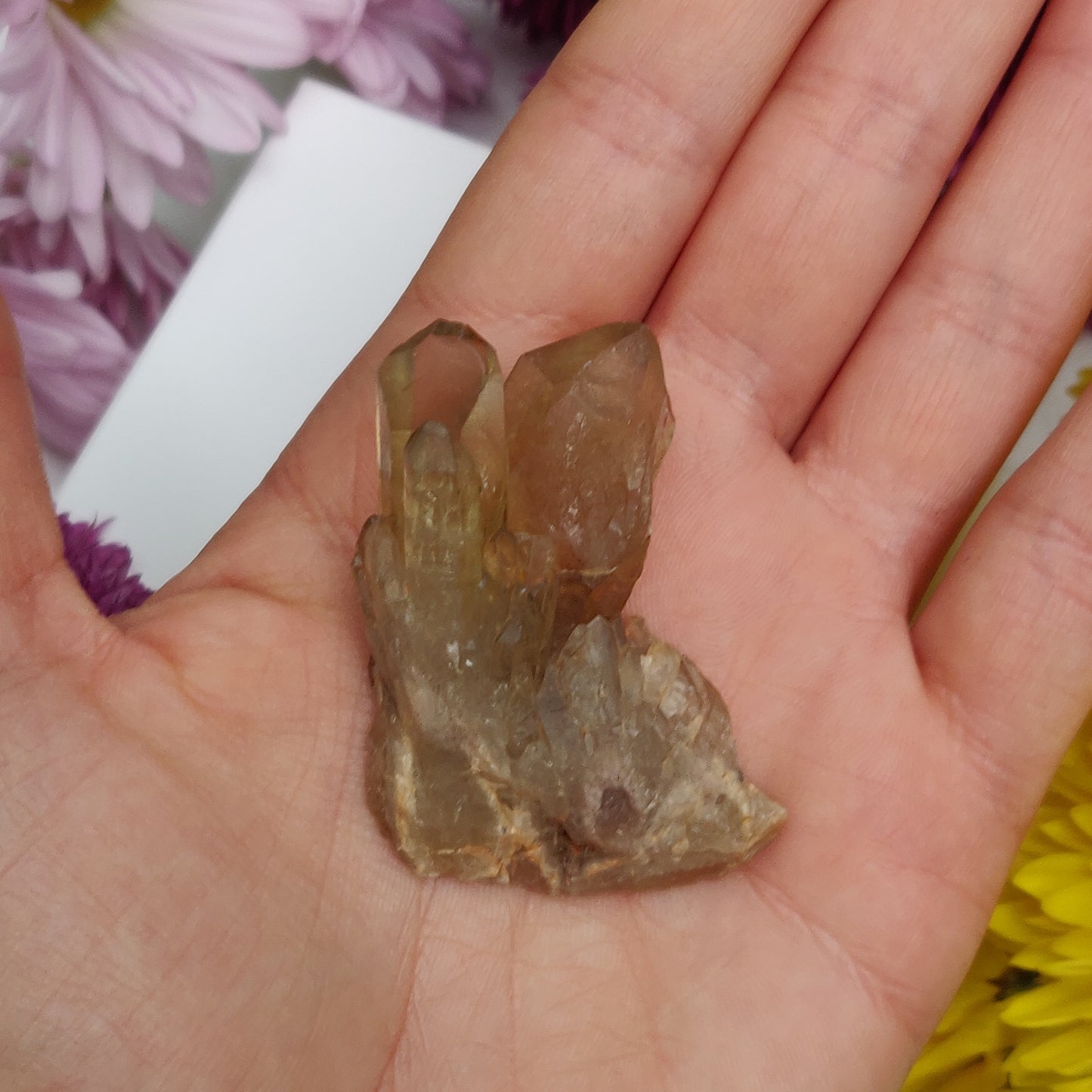 Congo Citrine Point (#6) - Simply Affinity