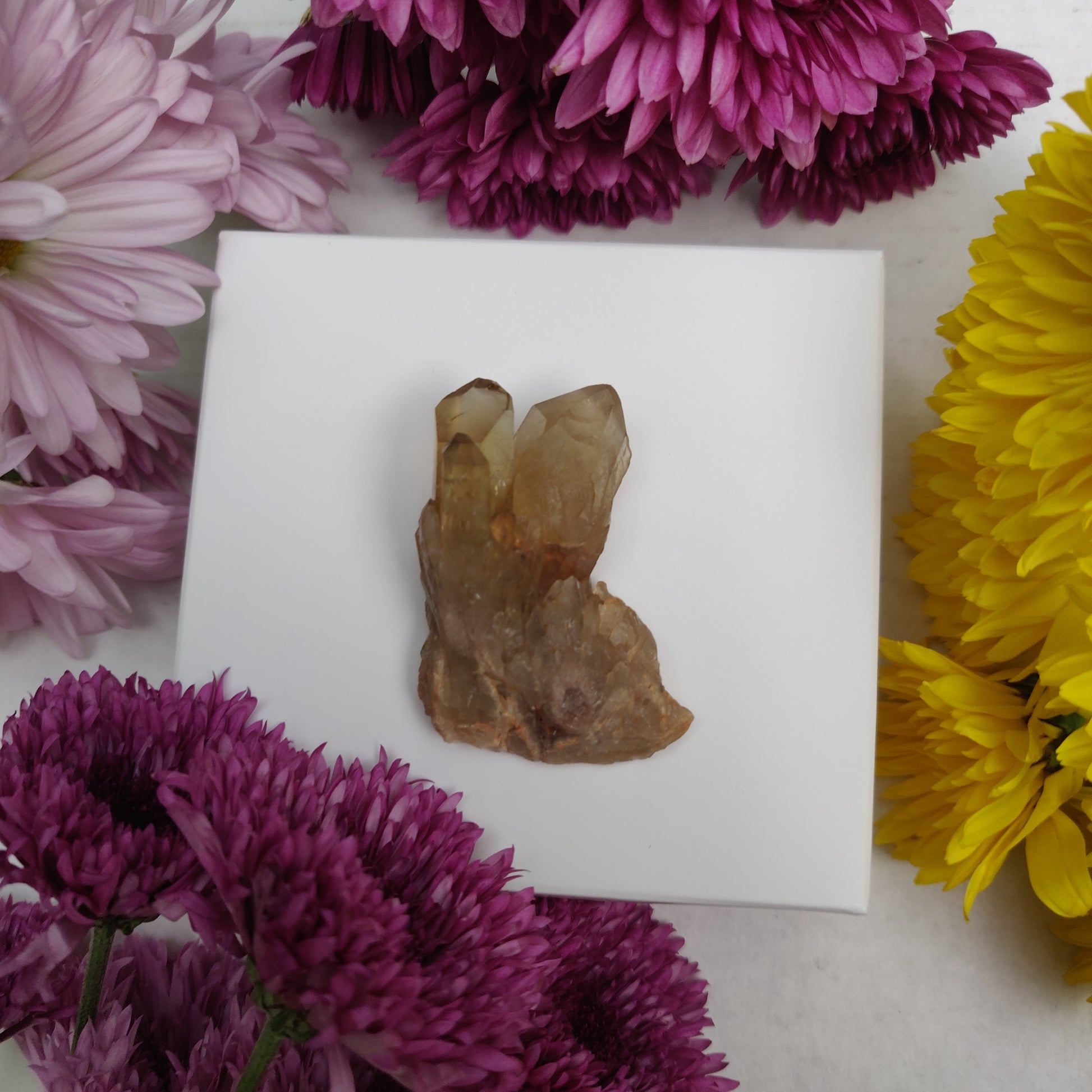 Congo Citrine Point (#6) - Simply Affinity