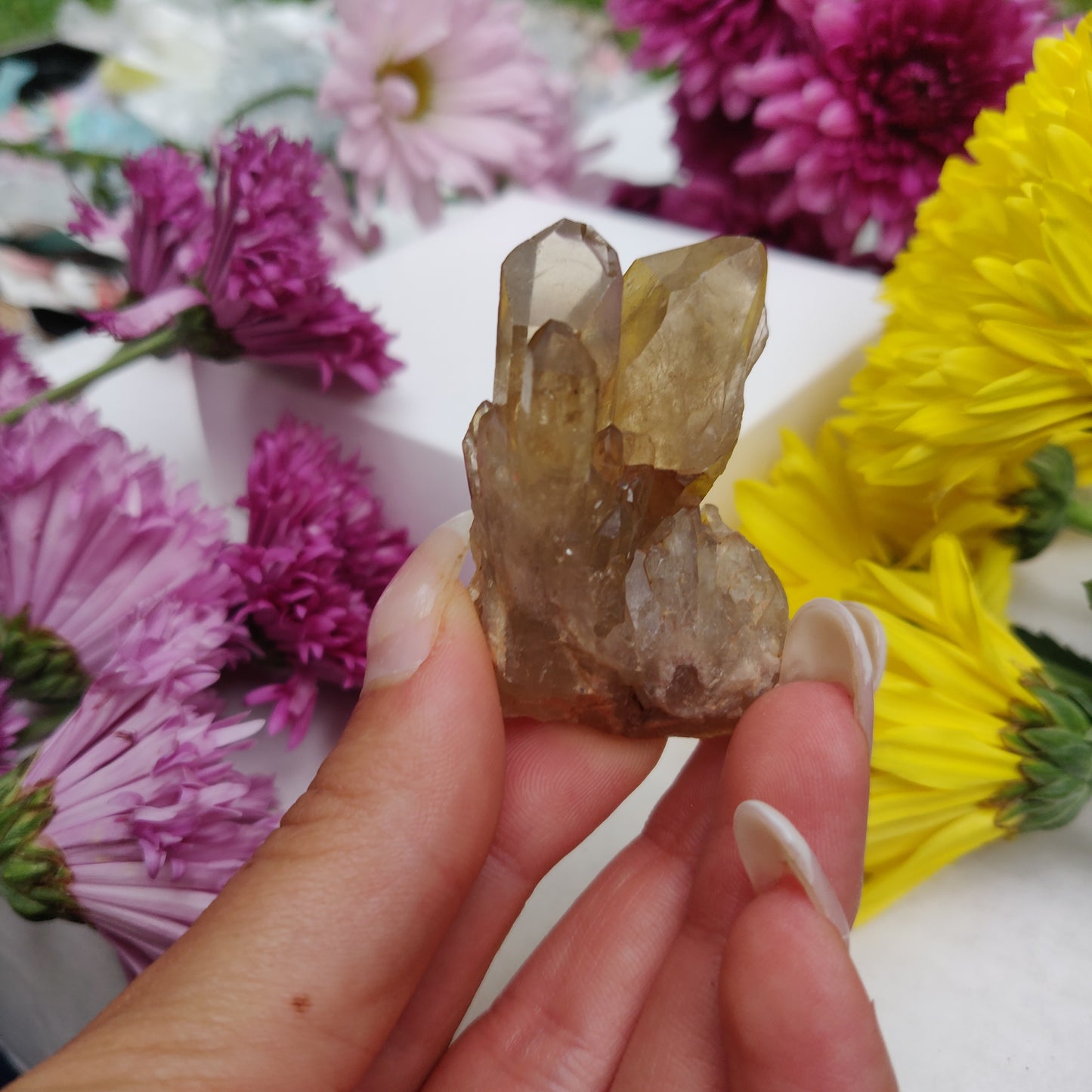 Congo Citrine Point (#6) - Simply Affinity