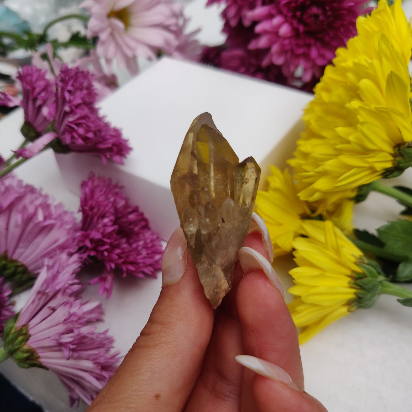 Congo Citrine Point (#6) - Simply Affinity