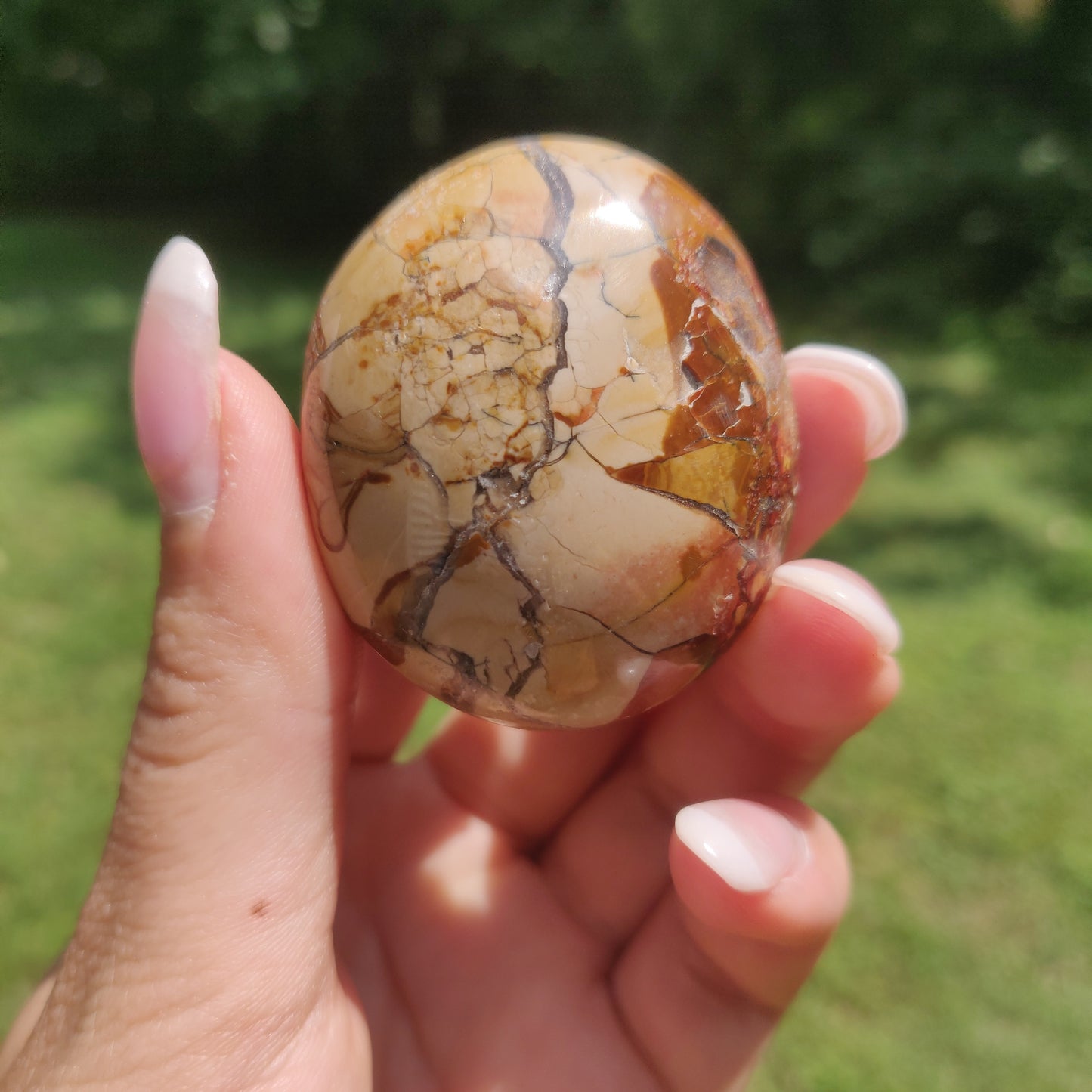 Ibis Jasper Palm Stone (#A2)