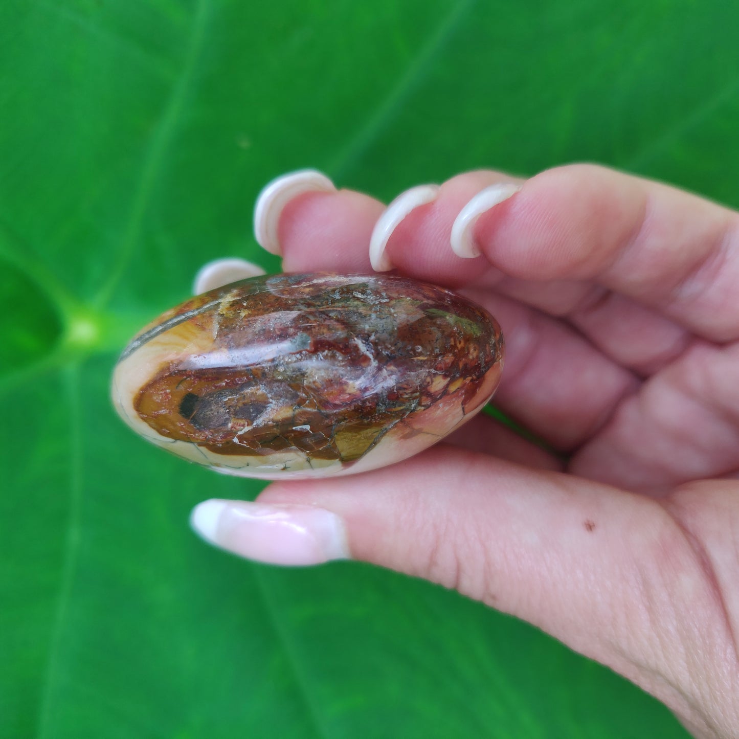 Ibis Jasper Palm Stone (#A2)