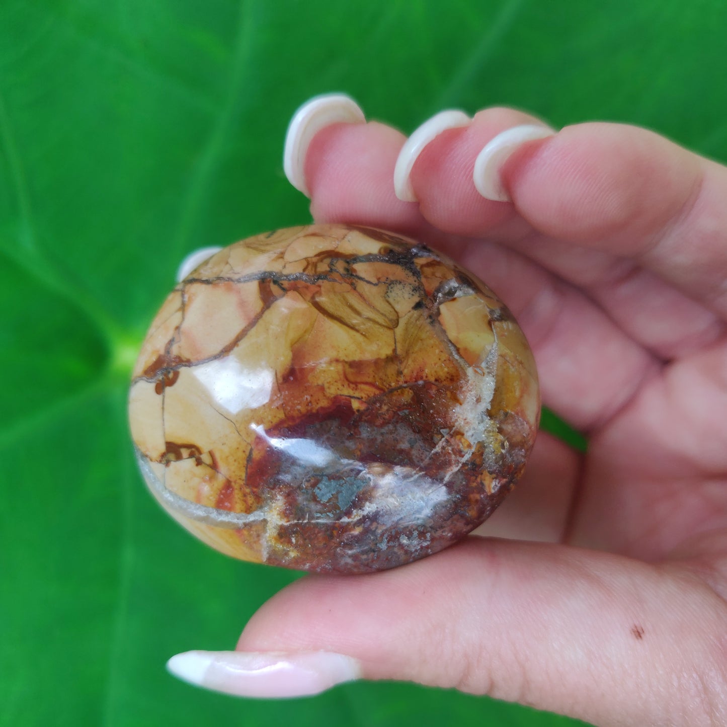 Ibis Jasper Palm Stone (#A2)