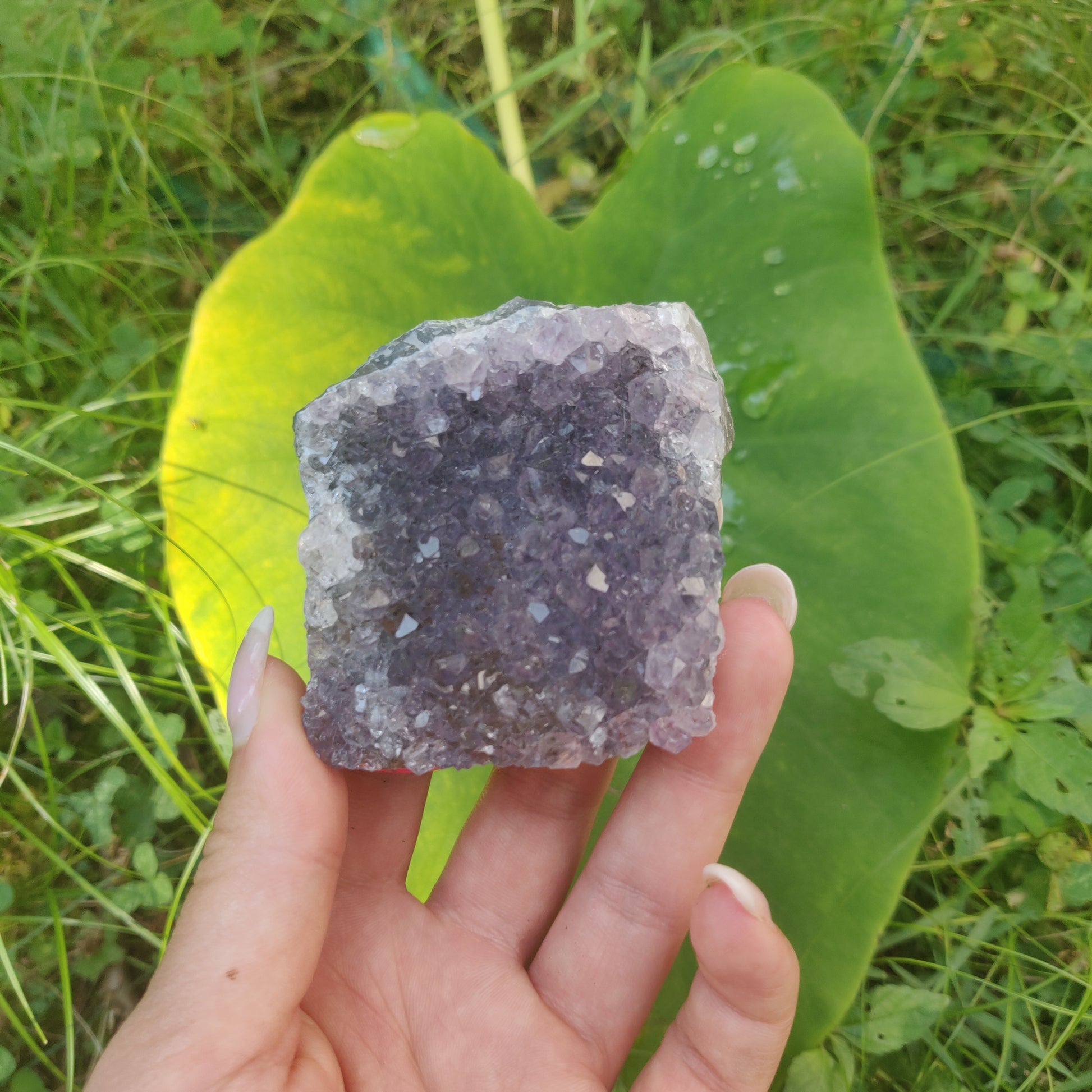 Self-Standing Amethyst Cluster (#2C) - Simply Affinity