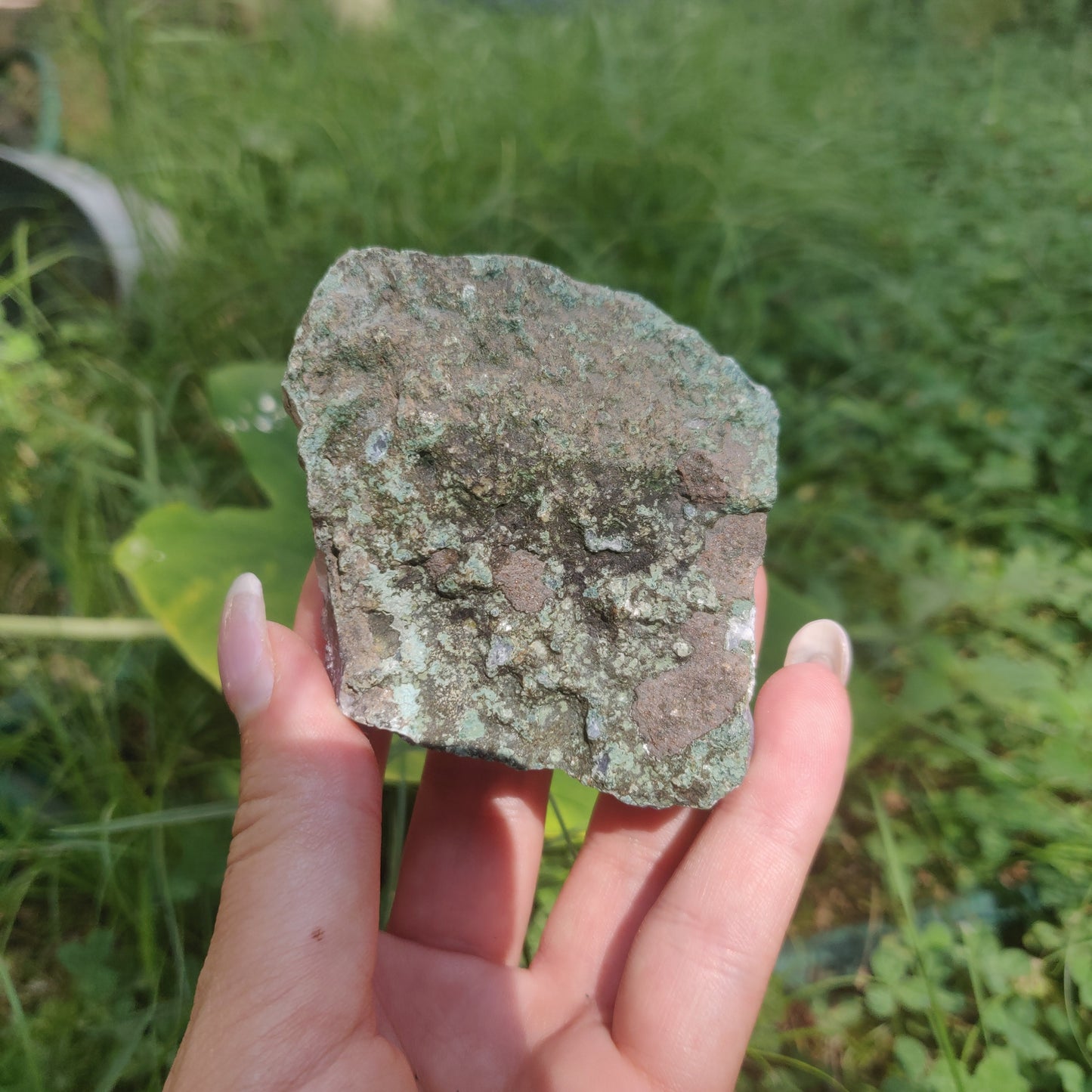 Self-Standing Amethyst Cluster (#2C) - Simply Affinity