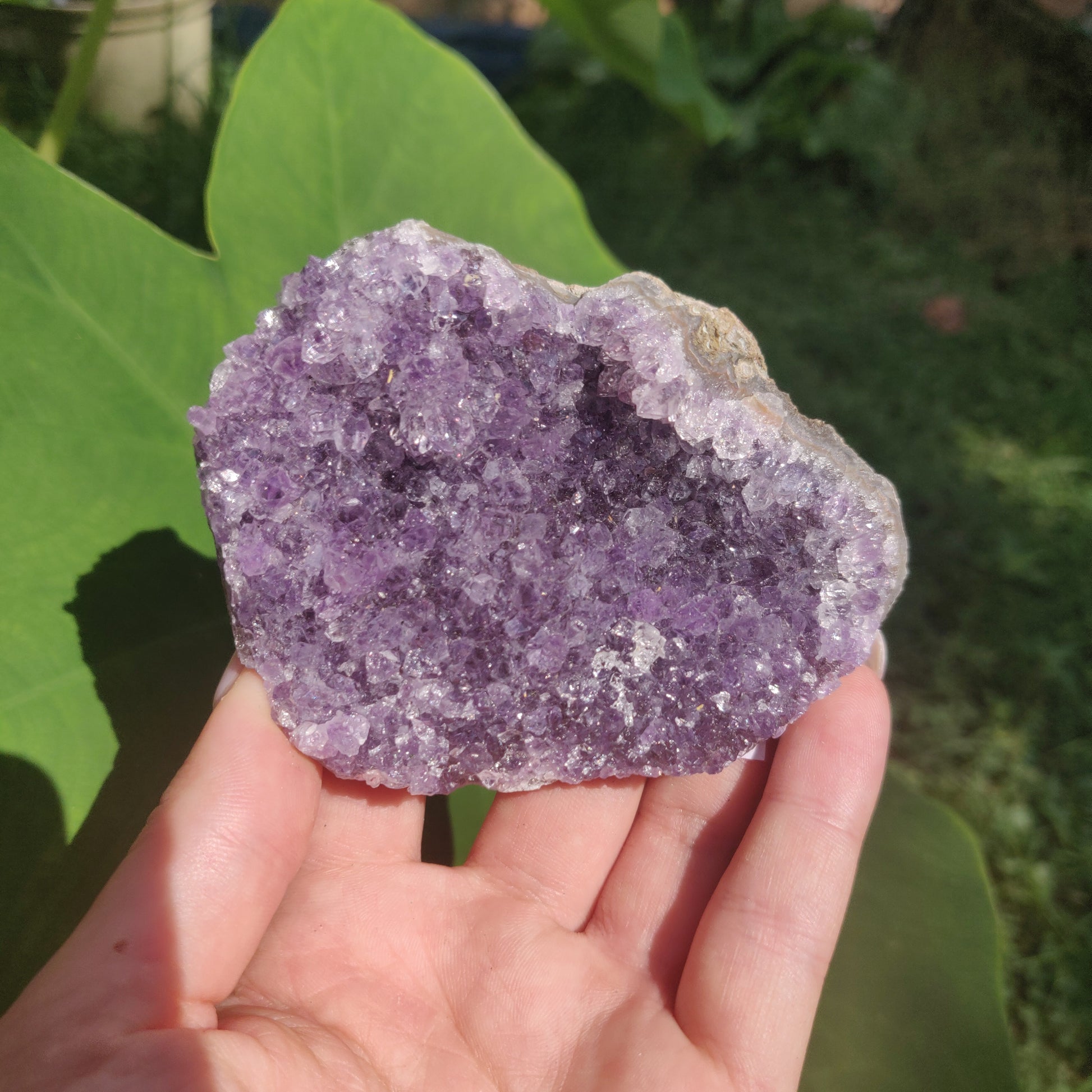 Amethyst Cluster (#3C) - Simply Affinity