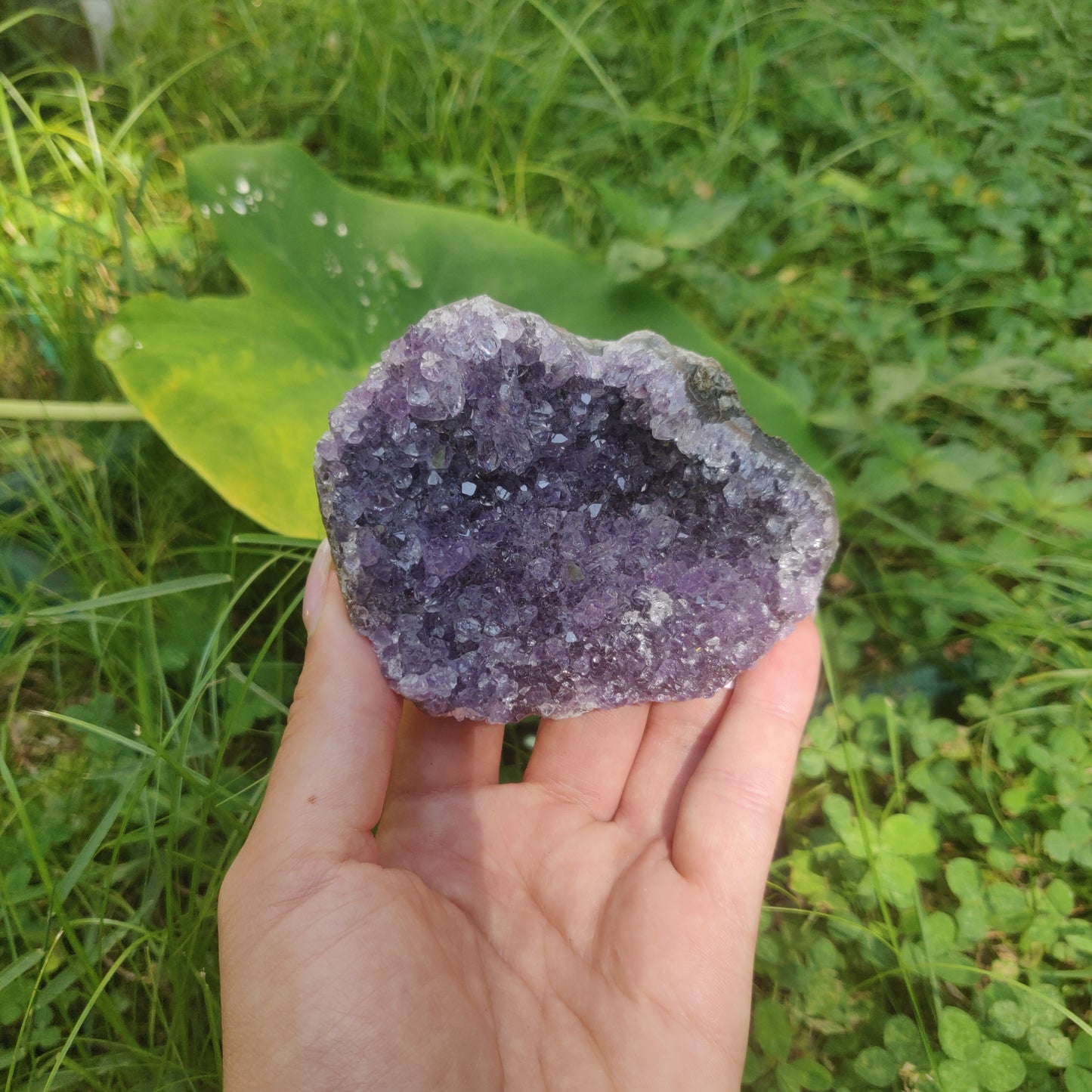 Amethyst Cluster (#3C) - Simply Affinity
