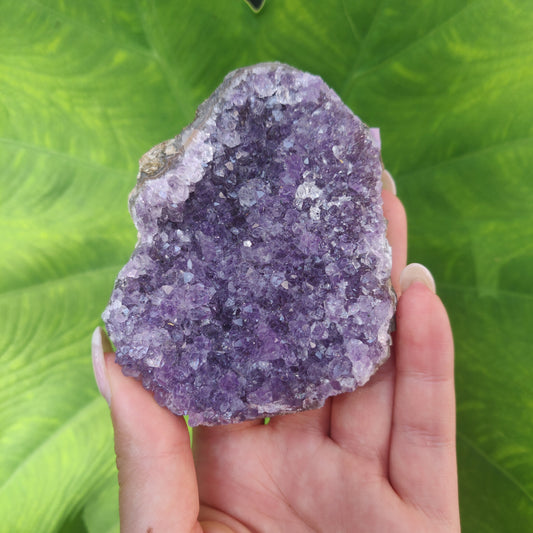 Amethyst Cluster (#3C) - Simply Affinity