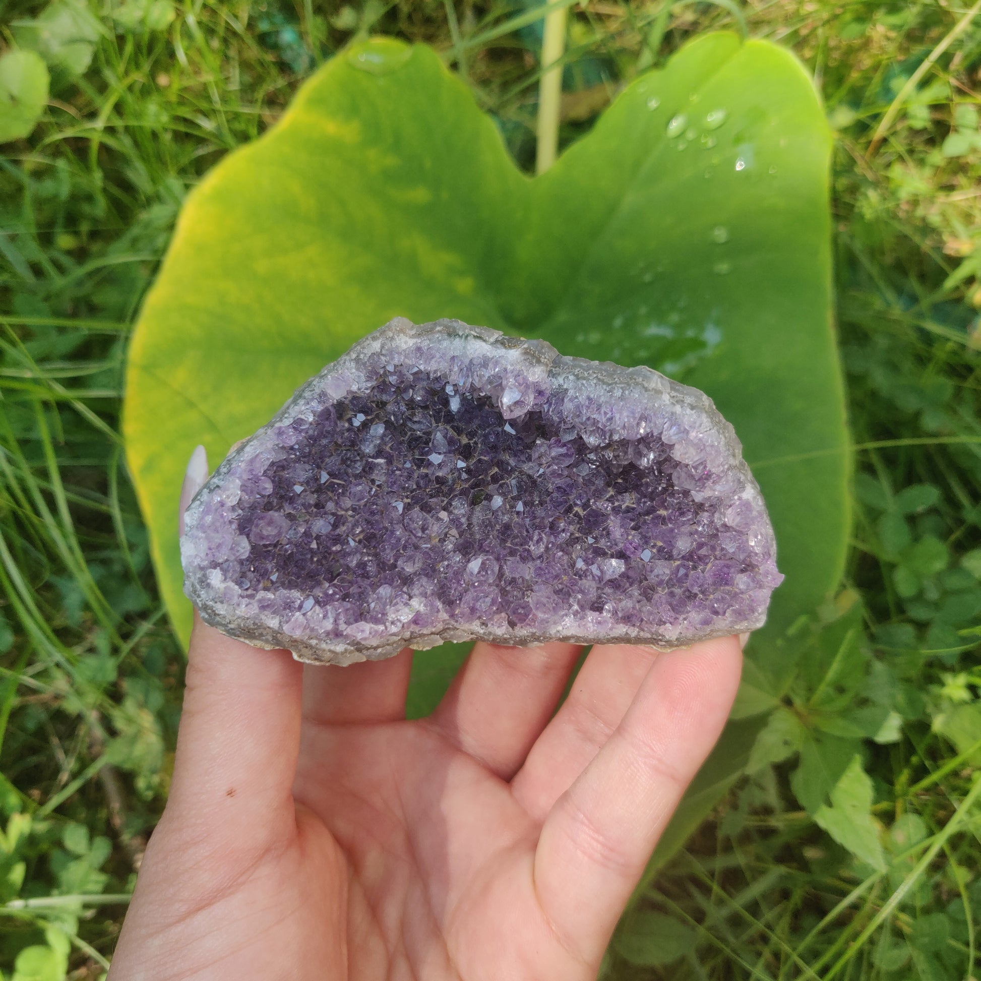 Amethyst Cluster (#4C) - Simply Affinity