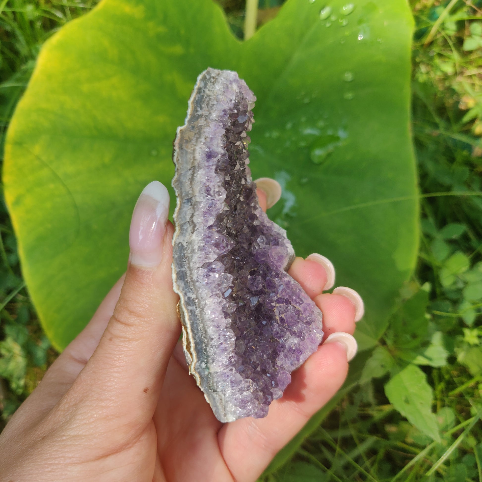 Amethyst Cluster (#4C) - Simply Affinity