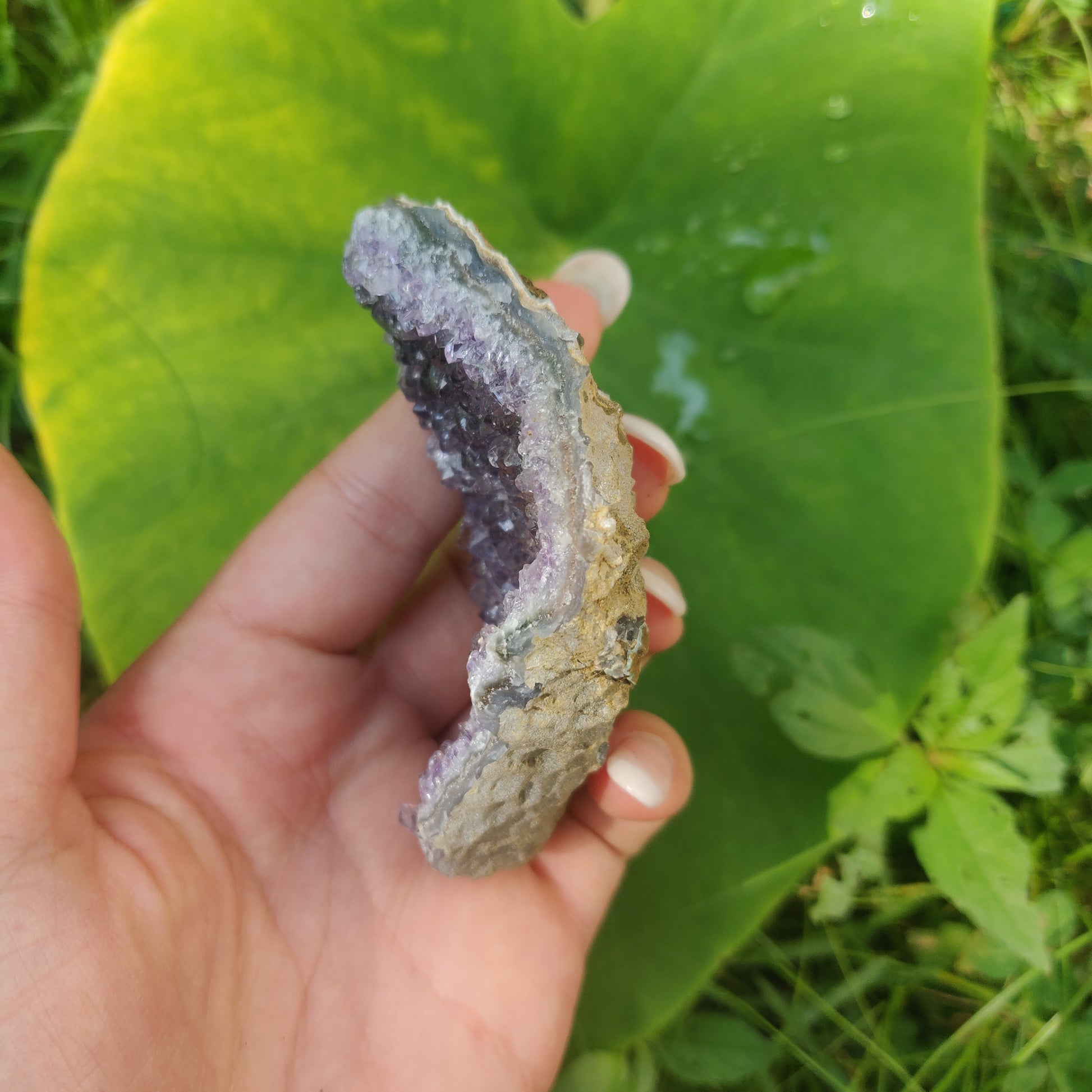 Amethyst Cluster (#4C) - Simply Affinity