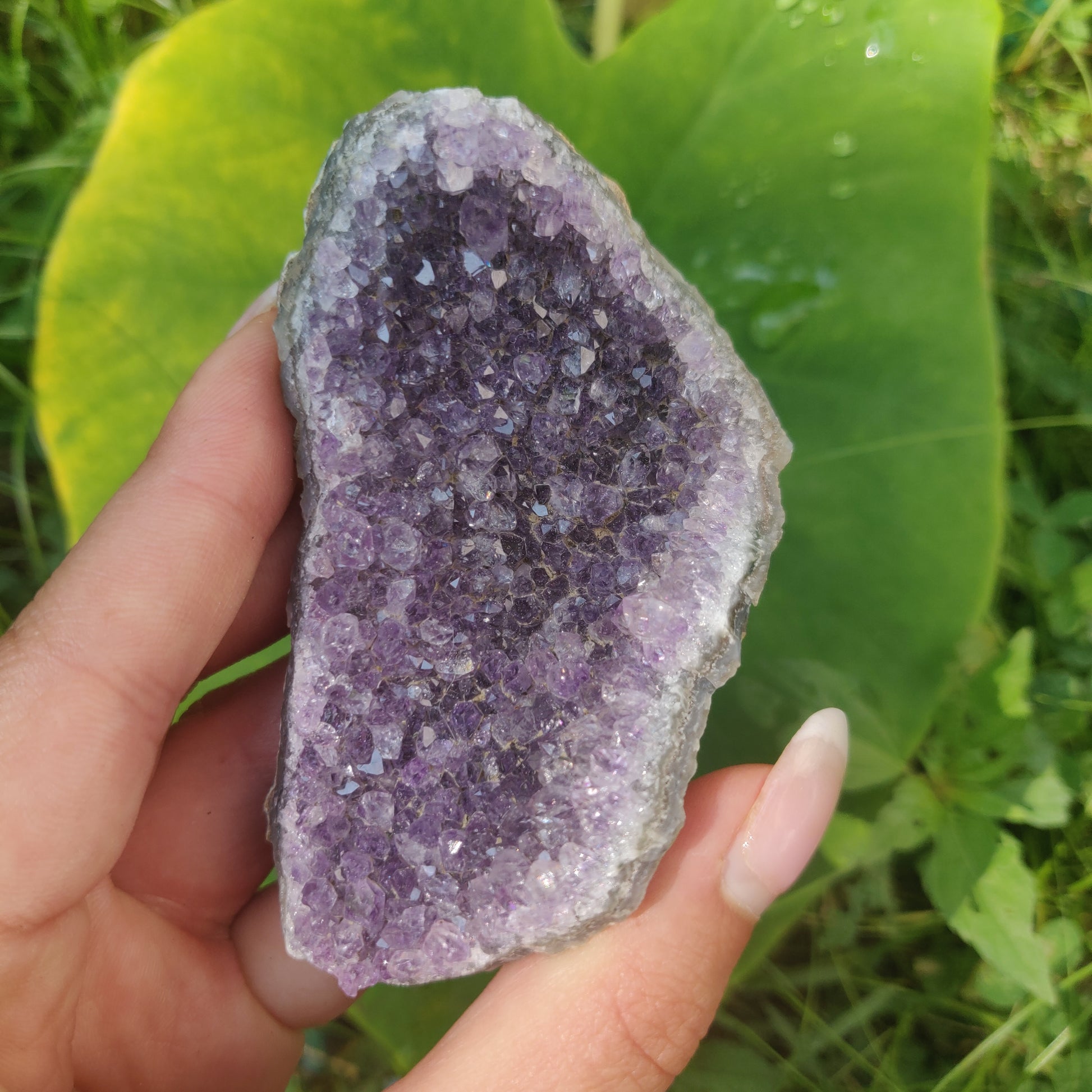 Amethyst Cluster (#4C) - Simply Affinity