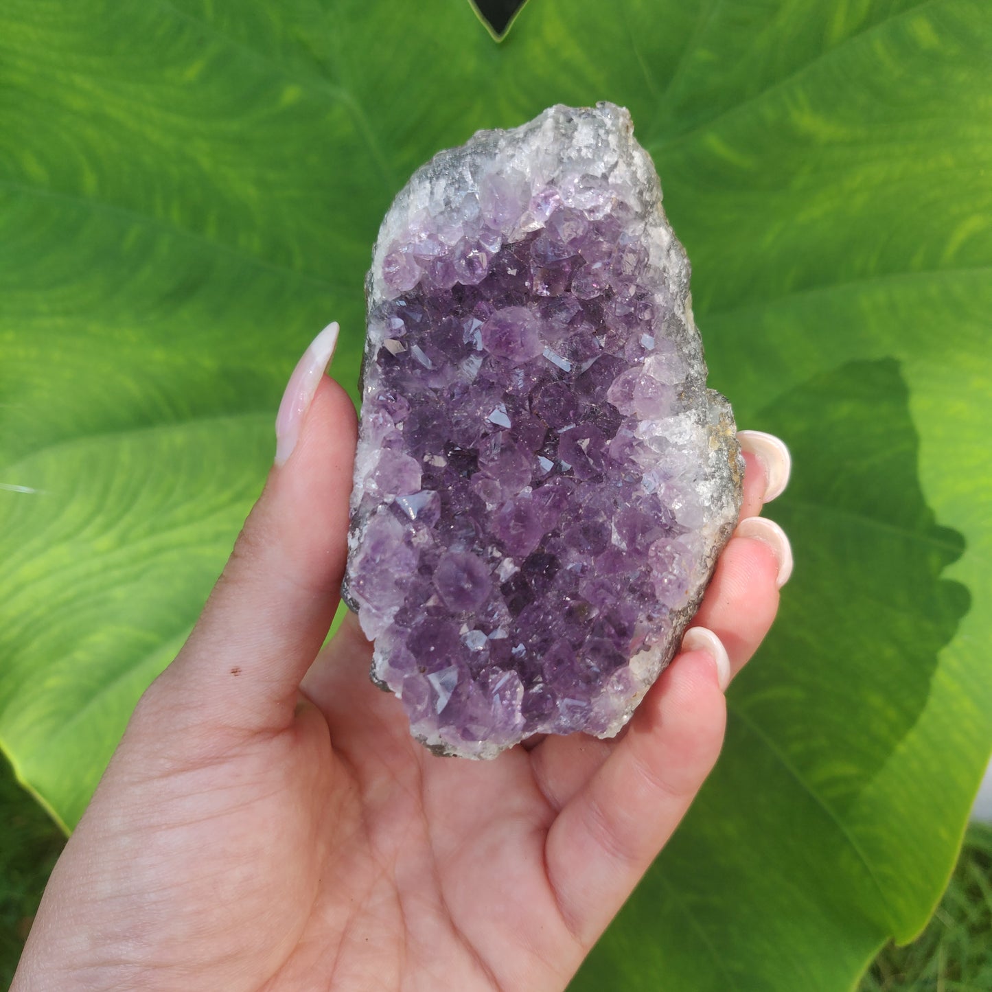 Amethyst Cluster (#6C) - Simply Affinity