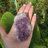 Amethyst Cluster (#6C) - Simply Affinity