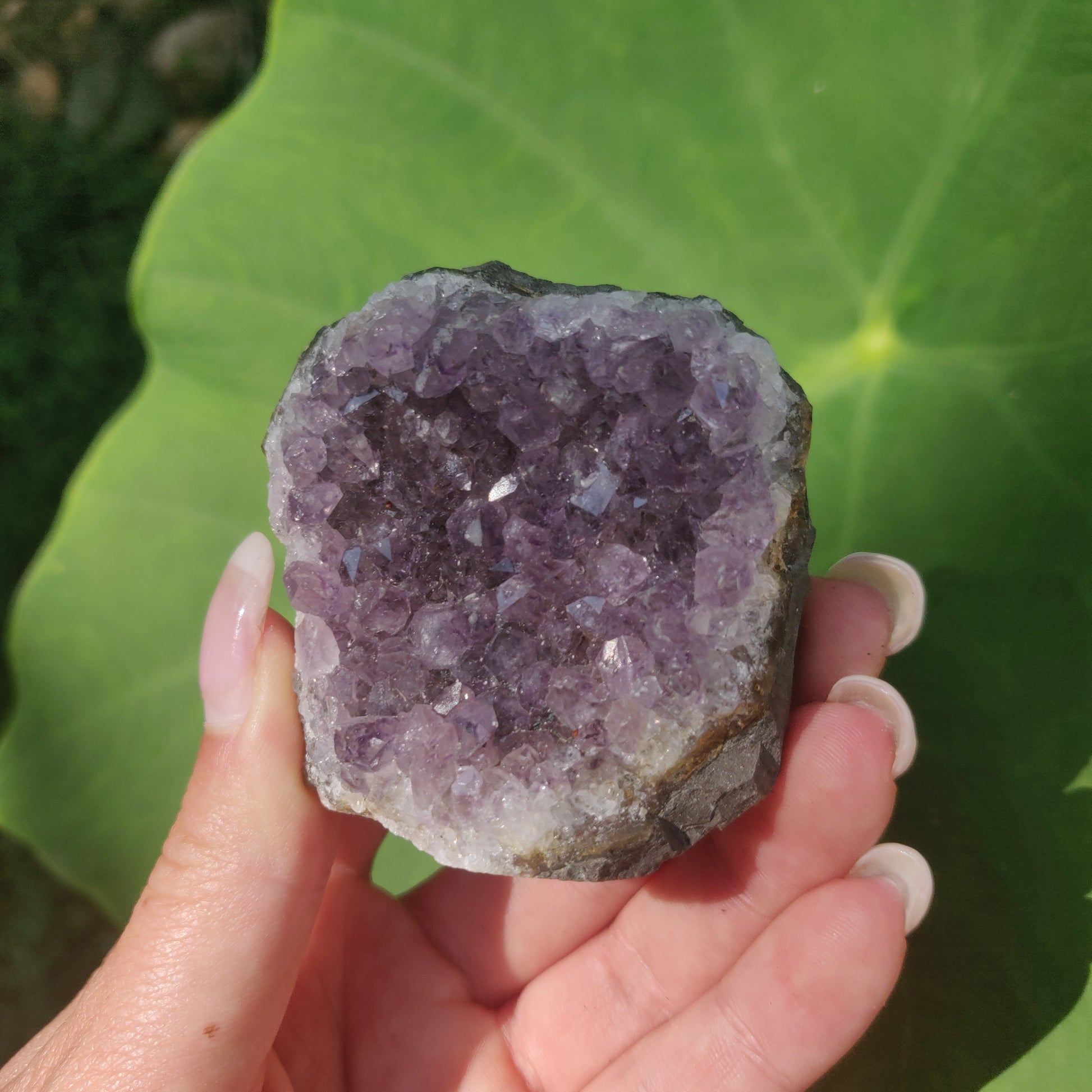 Amethyst Cluster (#7C) - Simply Affinity