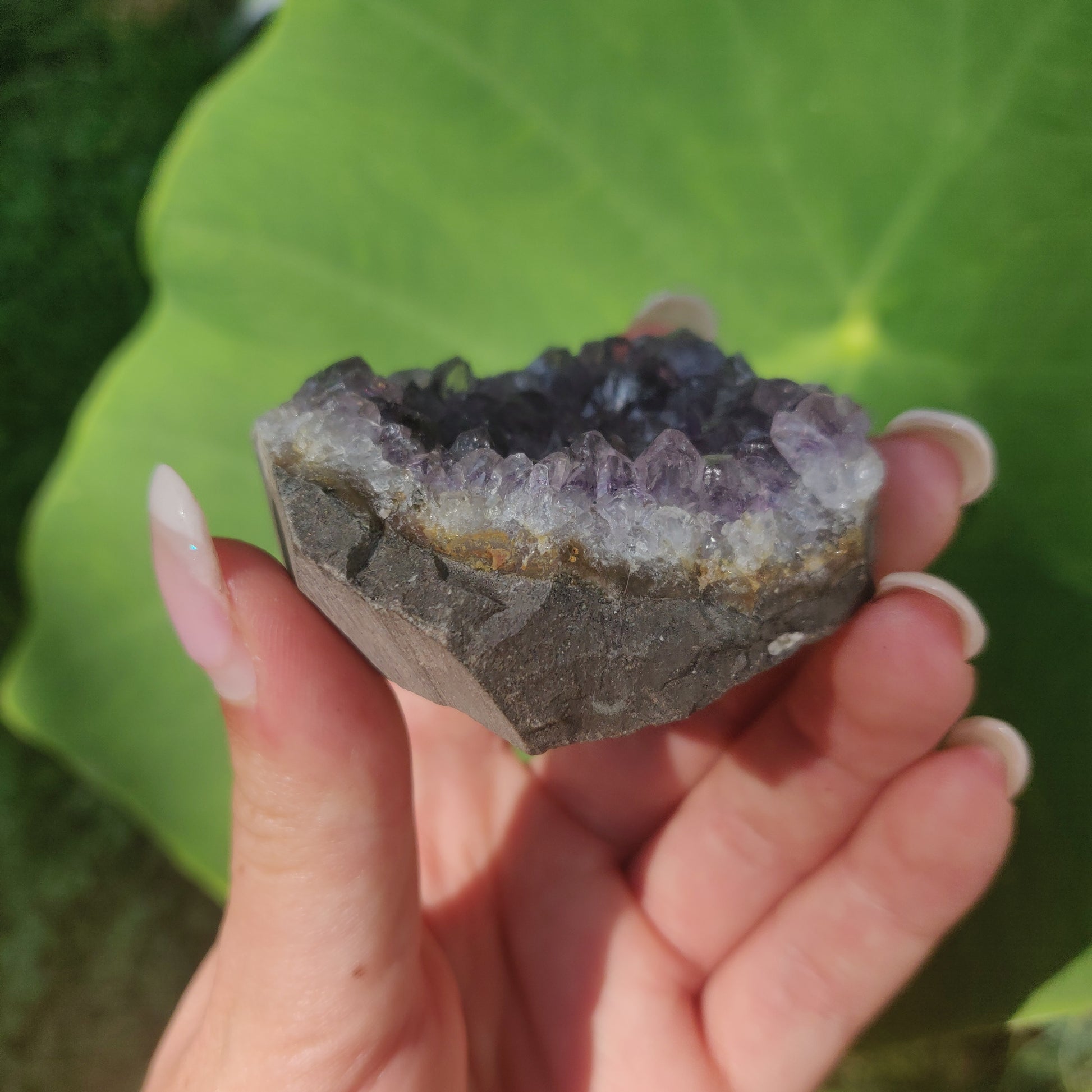 Amethyst Cluster (#7C) - Simply Affinity