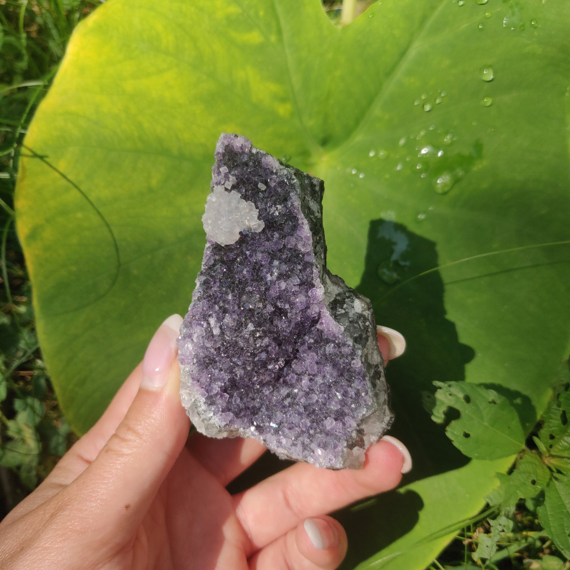 Amethyst Cluster (#9C) - Simply Affinity