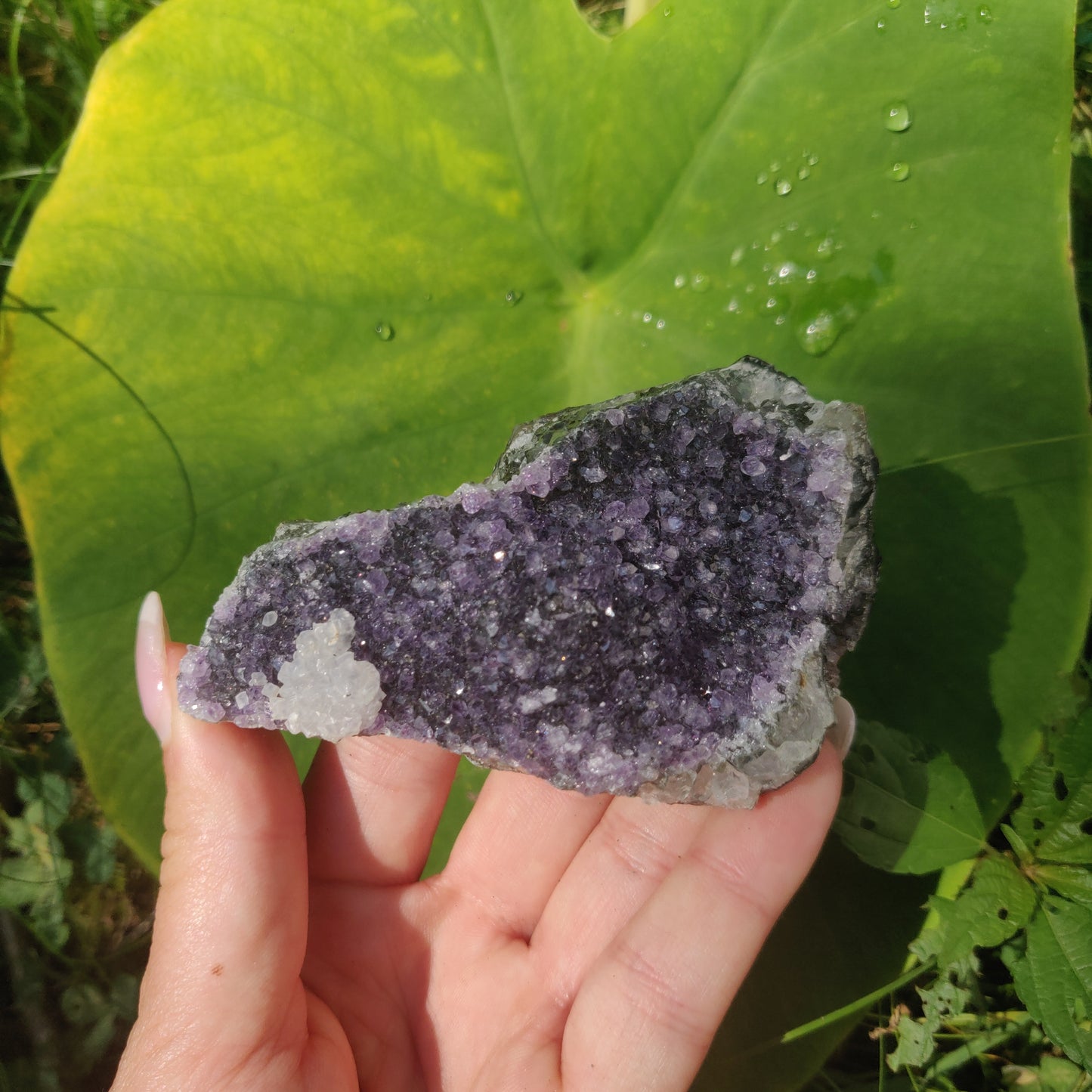 Amethyst Cluster (#9C) - Simply Affinity