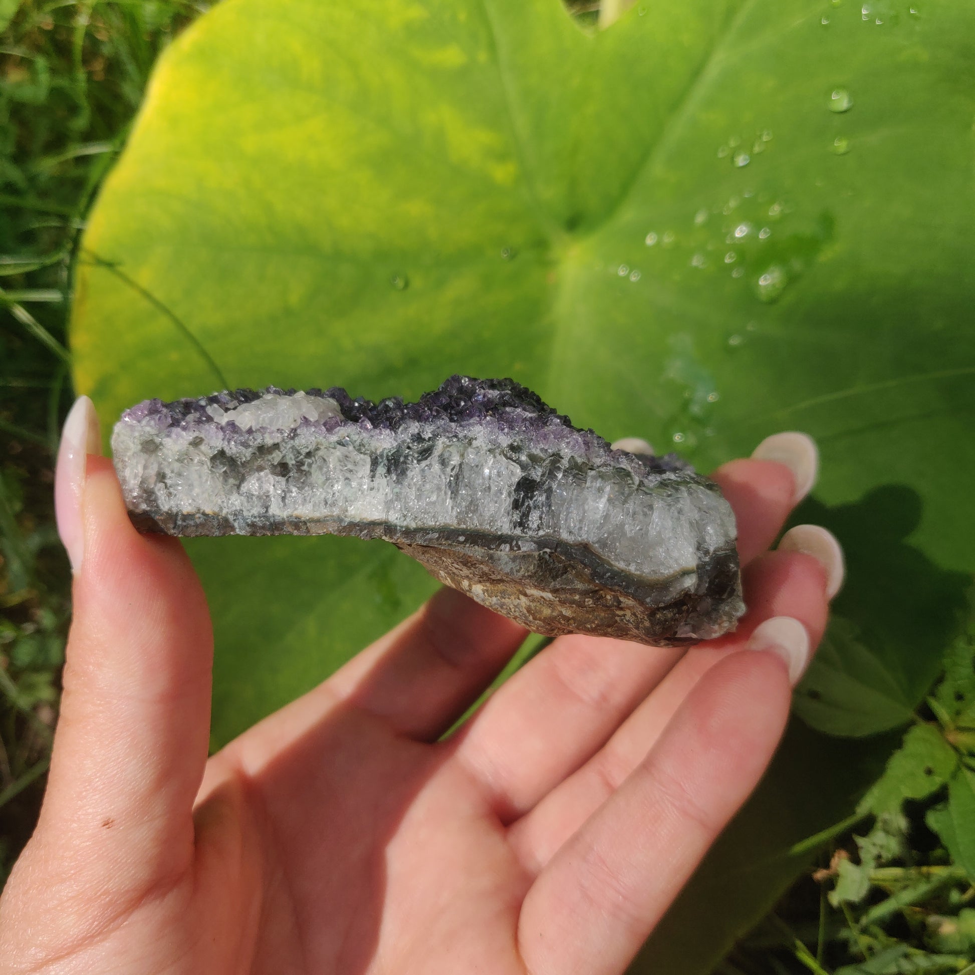 Amethyst Cluster (#9C) - Simply Affinity