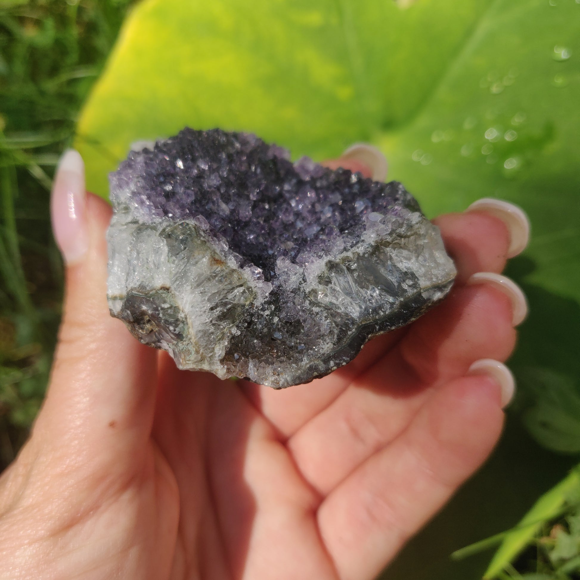 Amethyst Cluster (#9C) - Simply Affinity