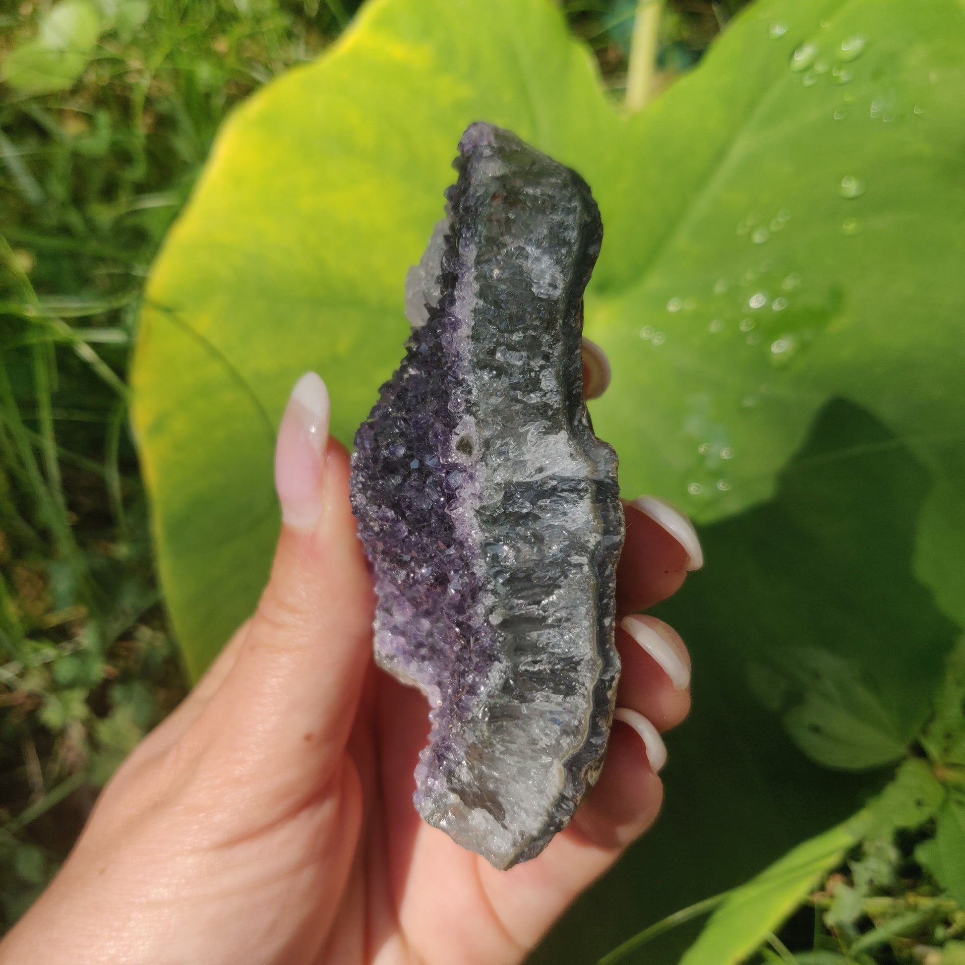 Amethyst Cluster (#9C) - Simply Affinity