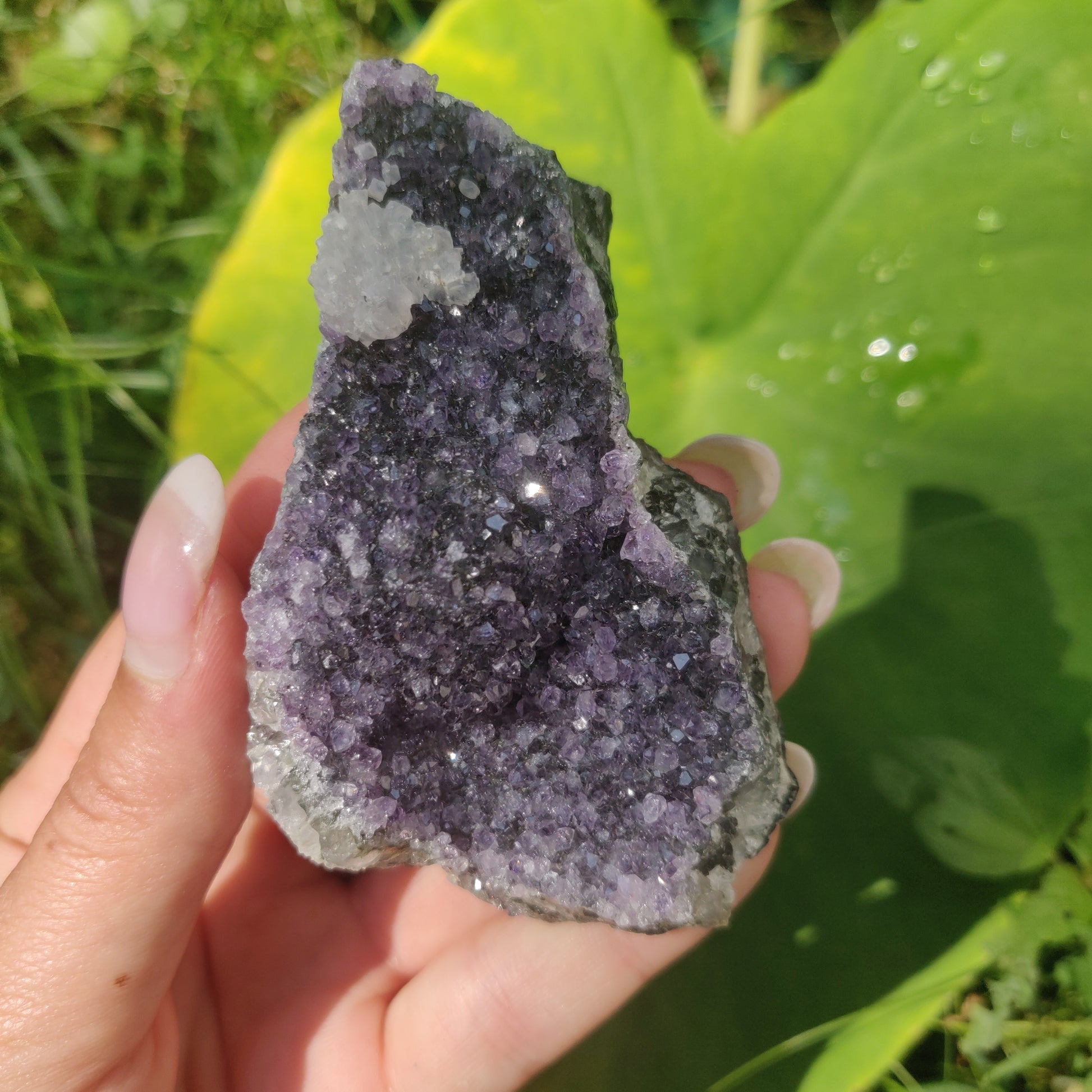Amethyst Cluster (#9C) - Simply Affinity